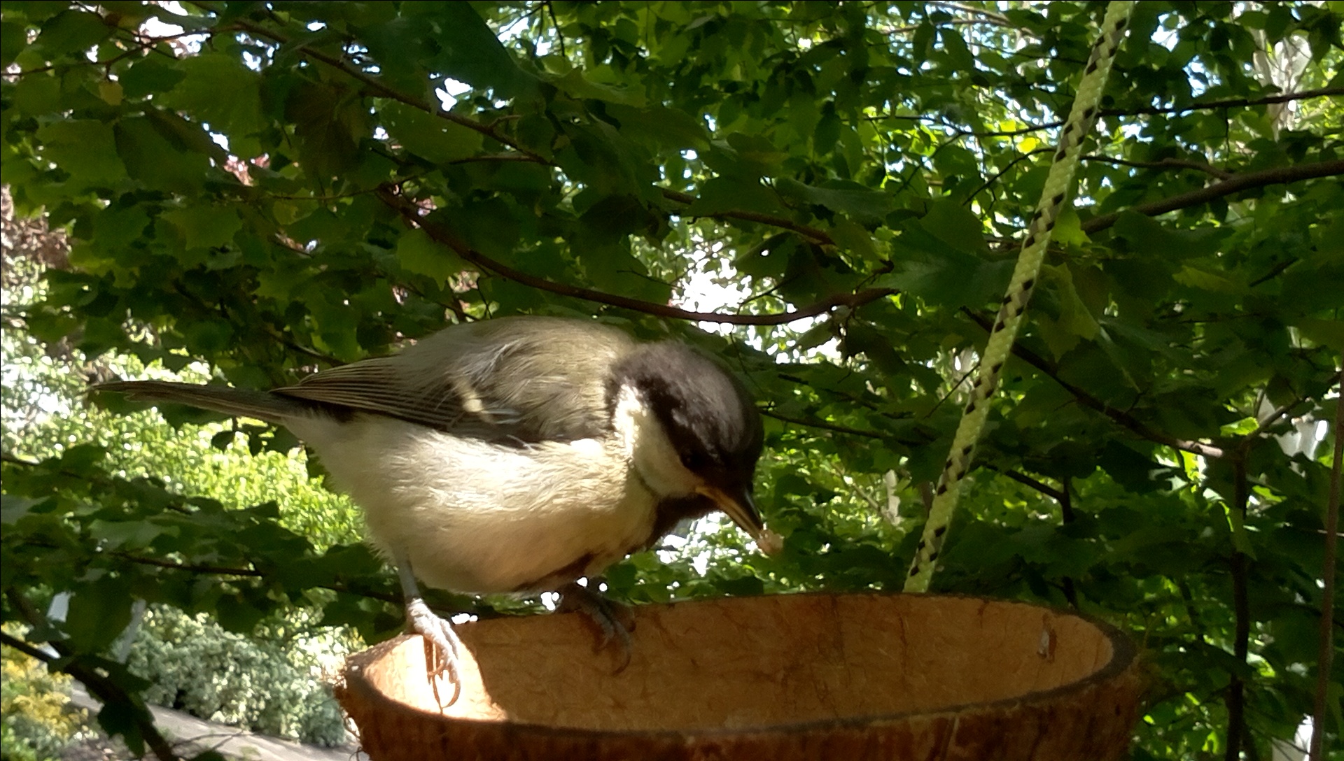 2019-05-28-13-37-40.jpg