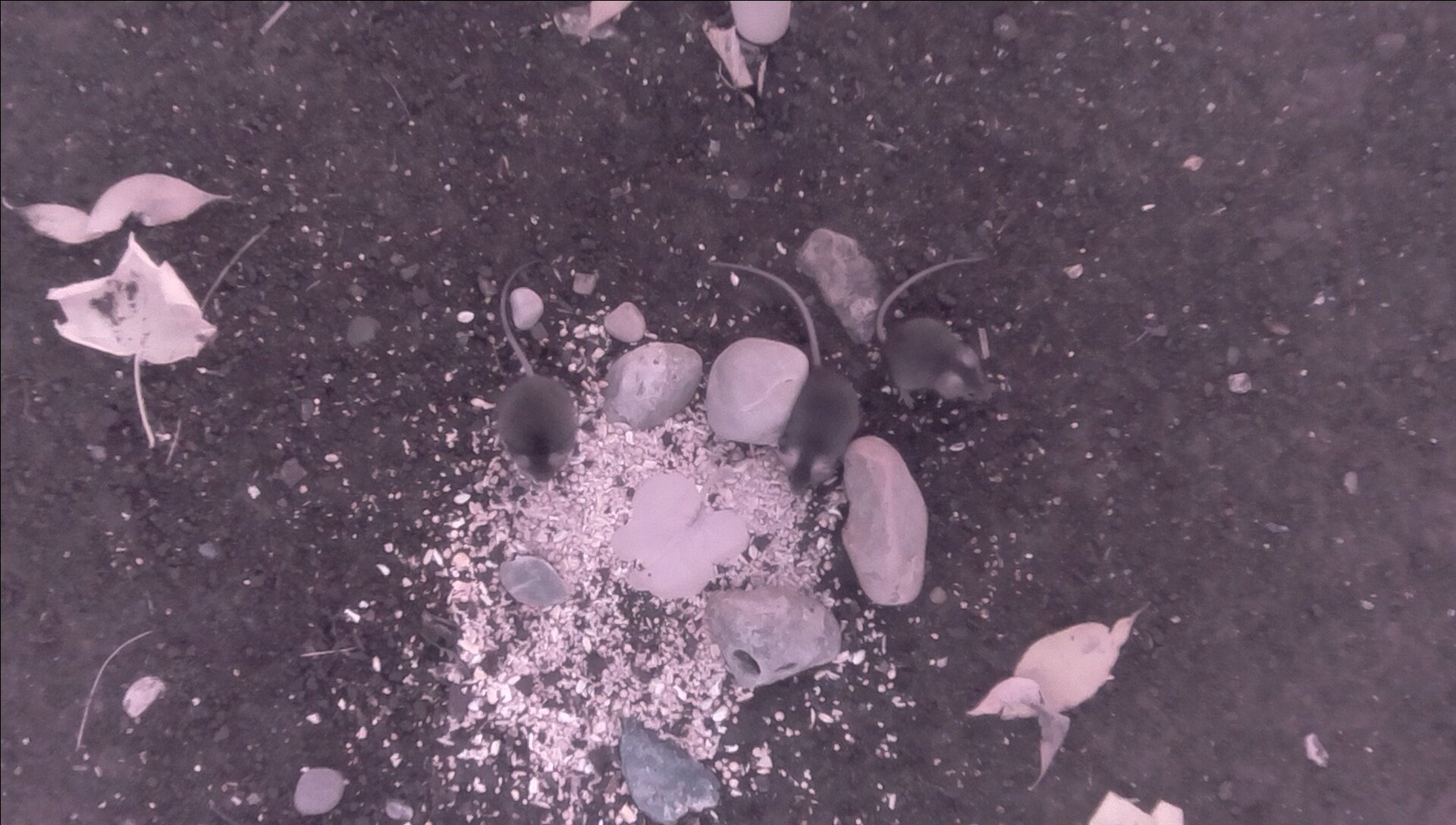 2019-09-13-17-28-04.jpg