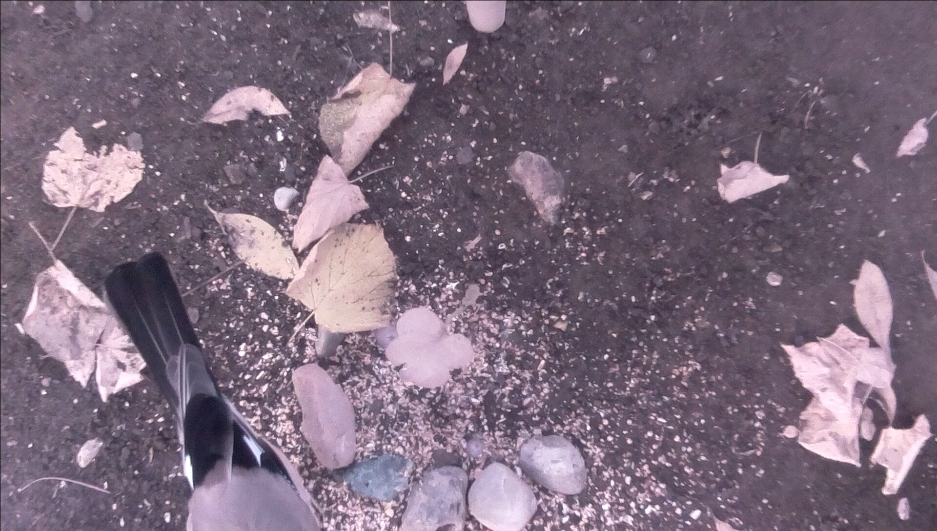 2019-09-18-08-11-41.jpg