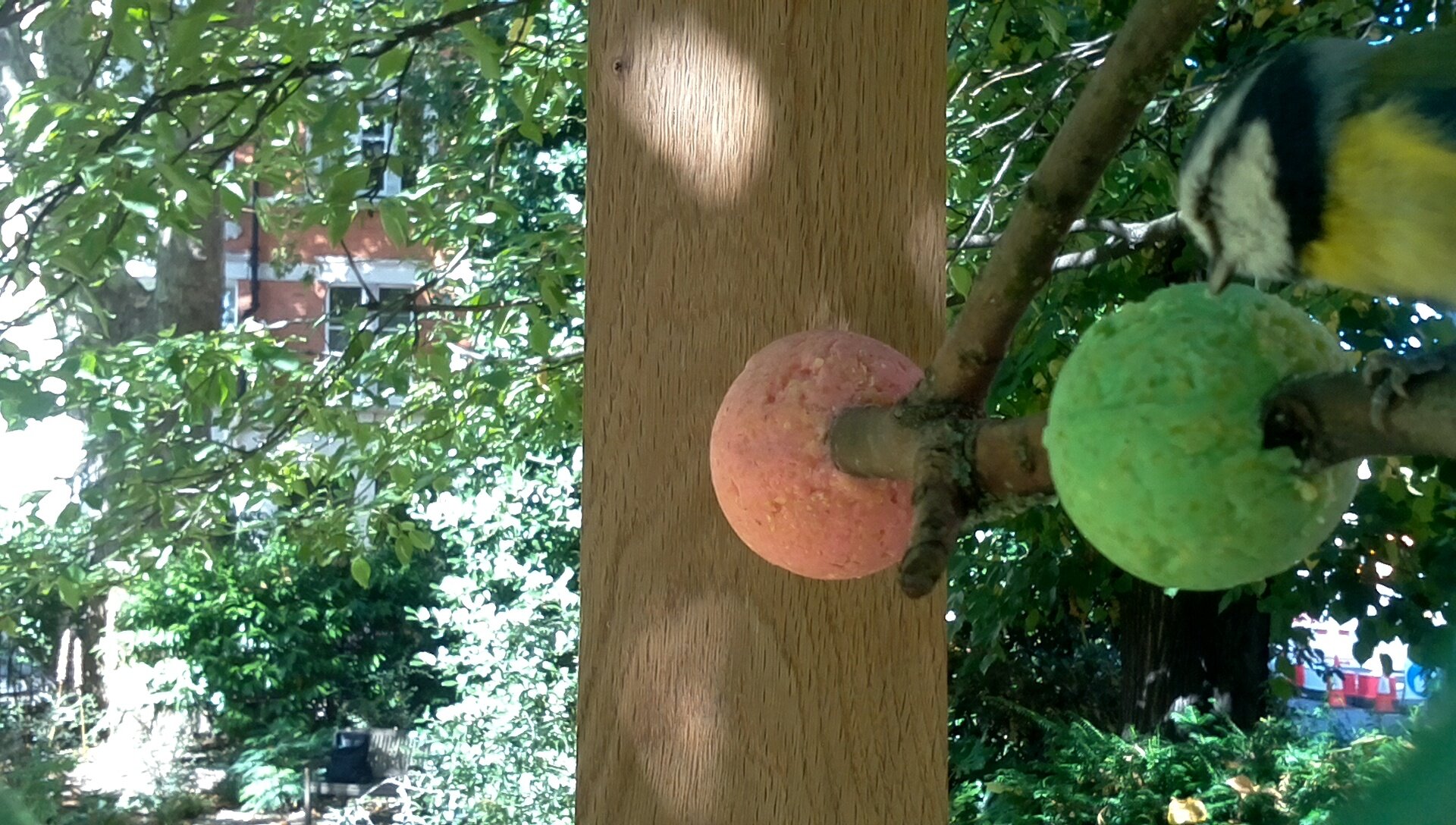 2019-09-17-13-45-11.jpg