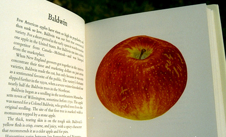 apples baldwin spread.jpg