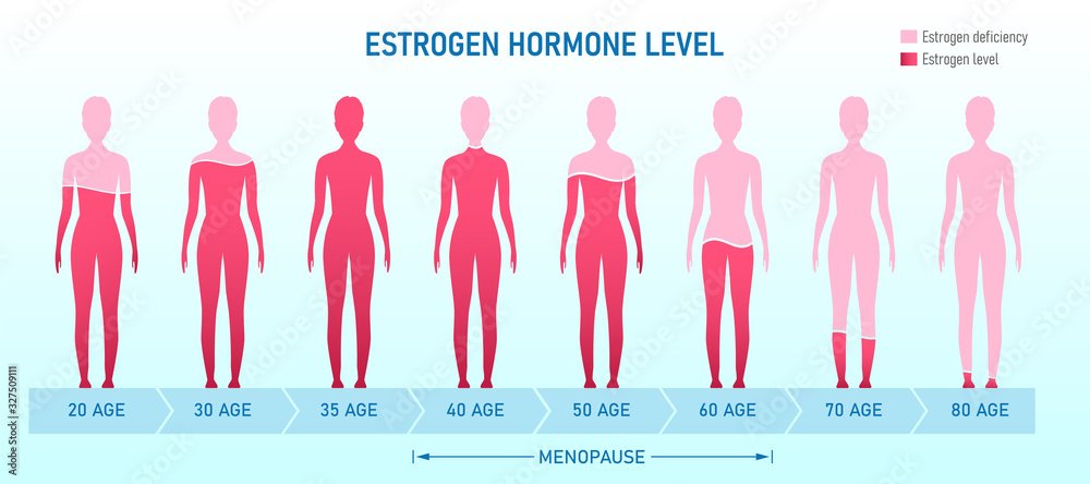 The Gut-Hormone Connection Nobody Is Talking About (And Why Nothing Else Is Working)