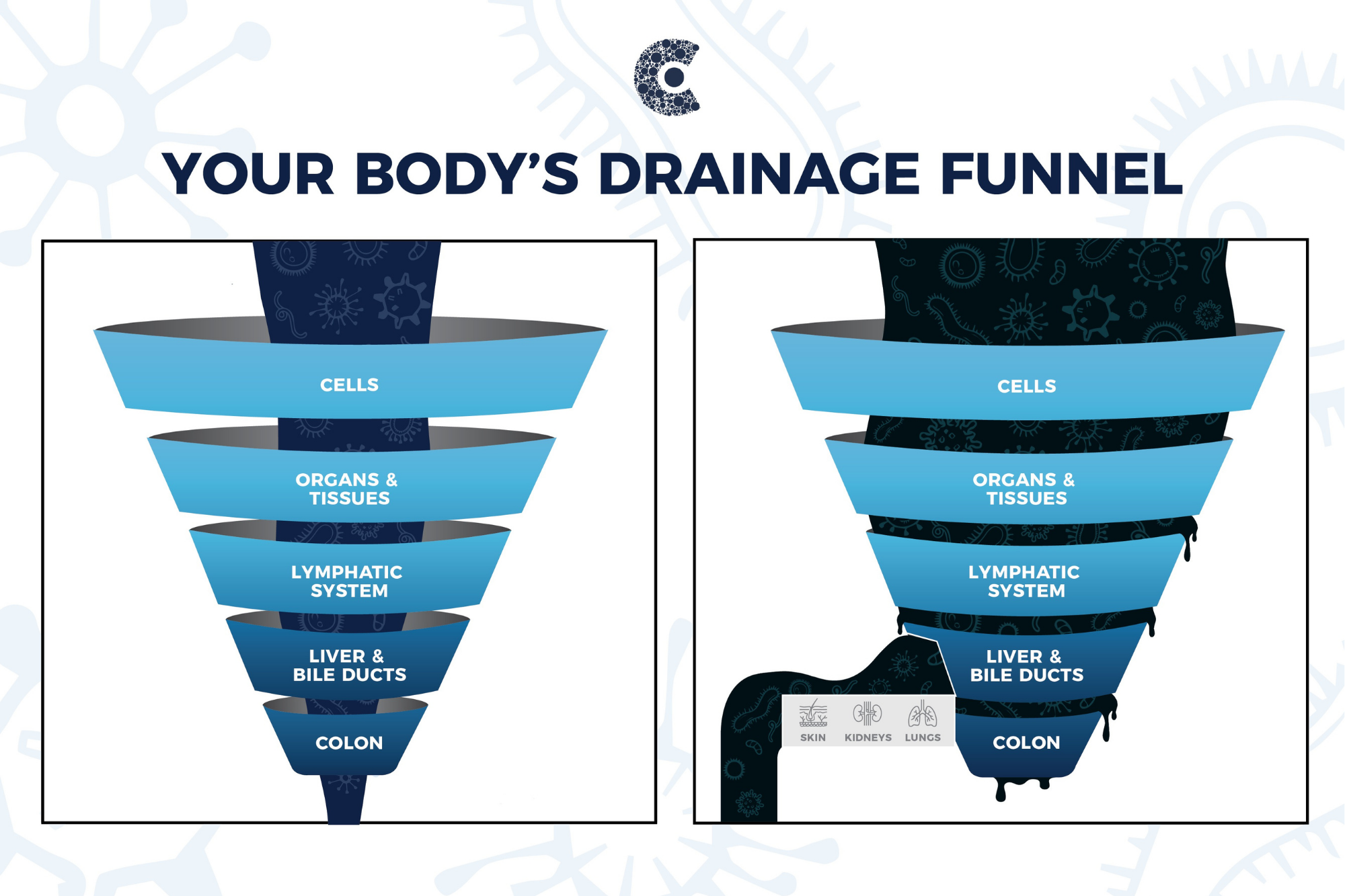 Elena Peden BCND explaining CellCore detox protocol and drainage funnel