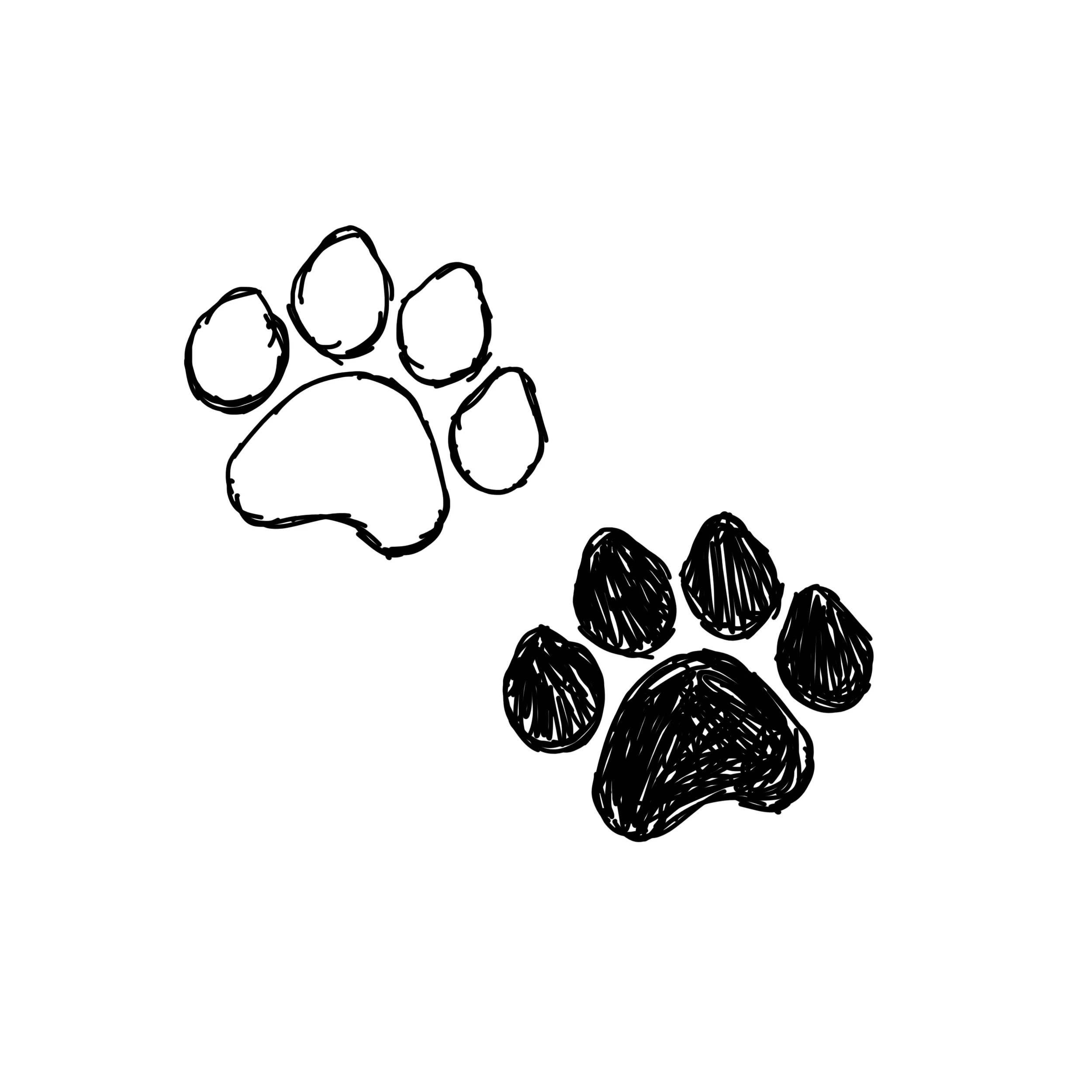 JIMMY - PAW PRINTS.jpg