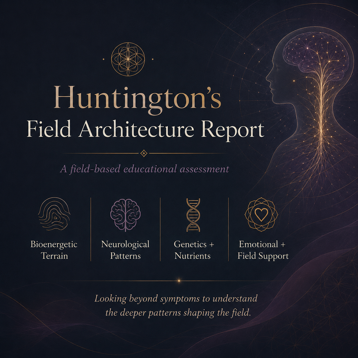 Huntington’s Field Architecture Report