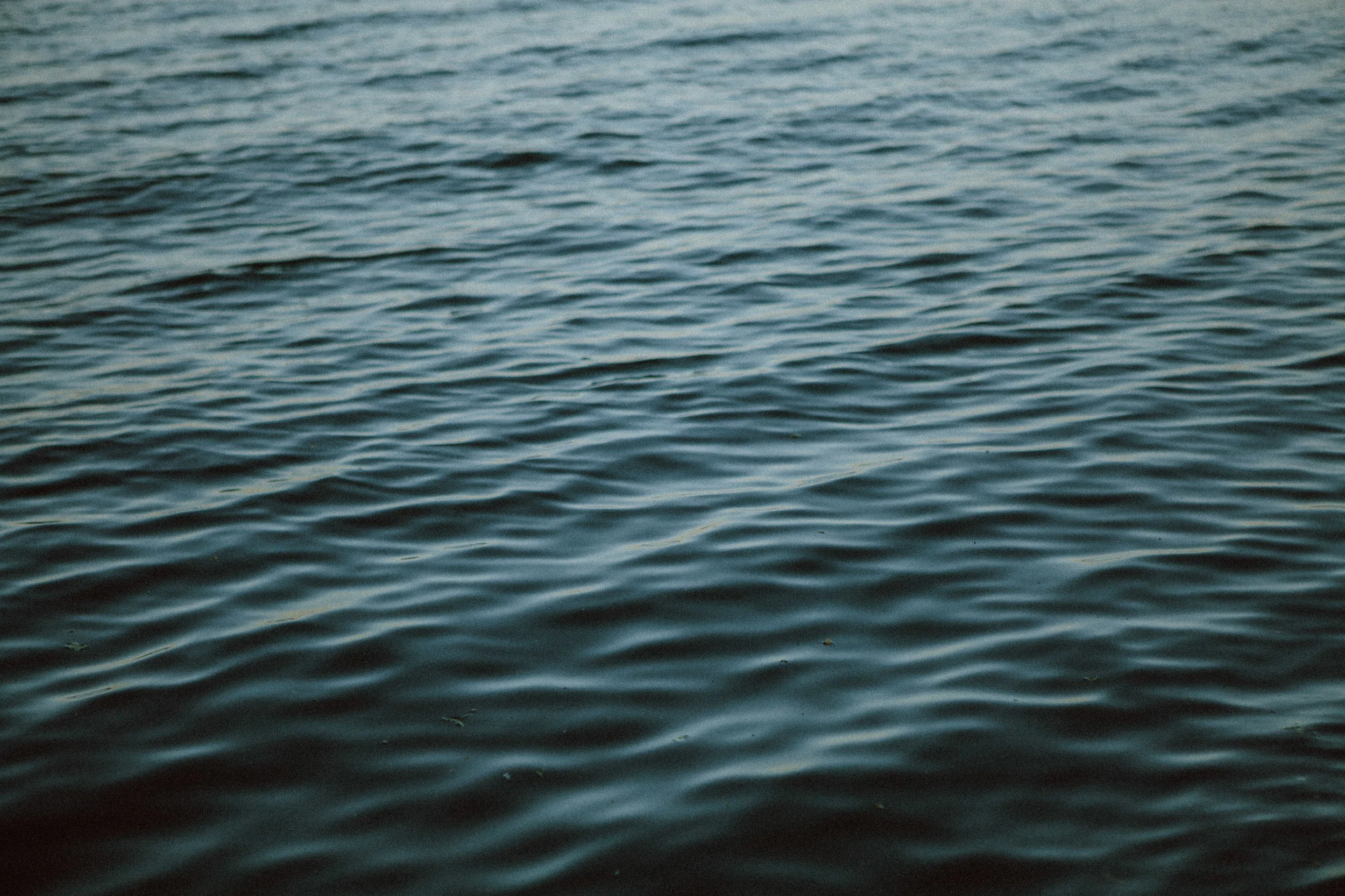 The system no one cares about...Your Lymph