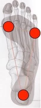 What is the foot tripod and why is it so important?