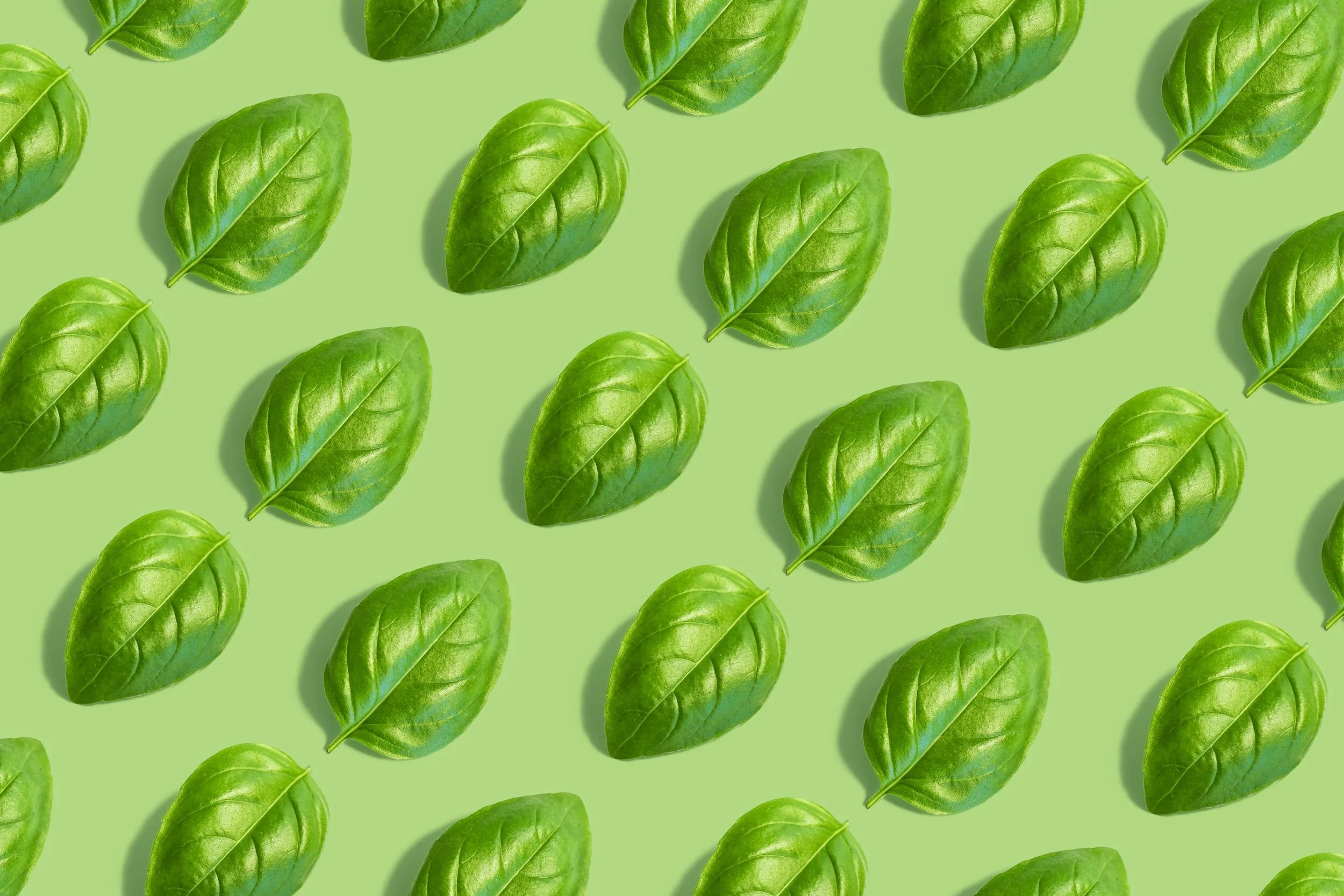 Oxalates and what they can do to you