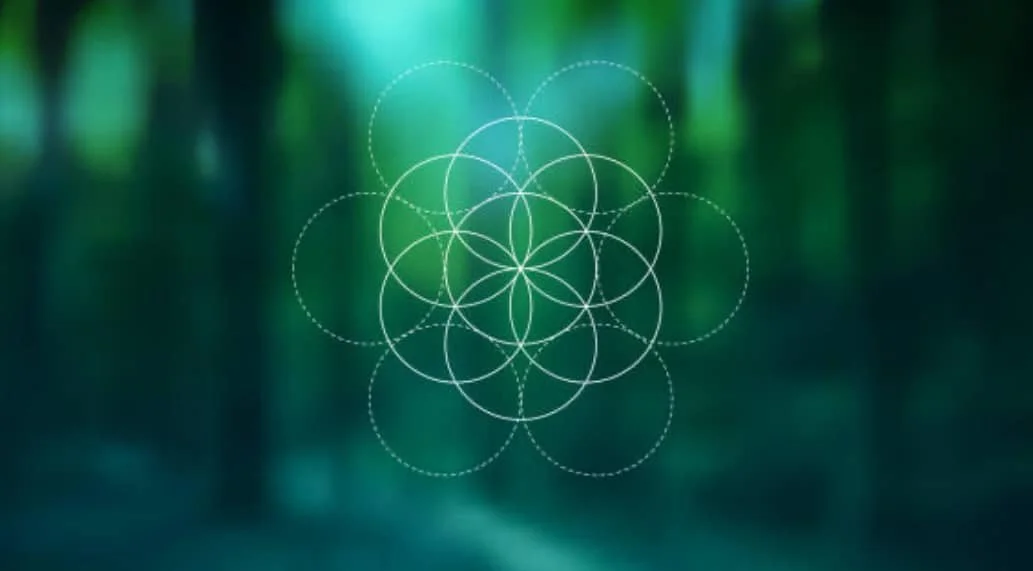 Learn how to HEAL from MCAS with our FREE guide!