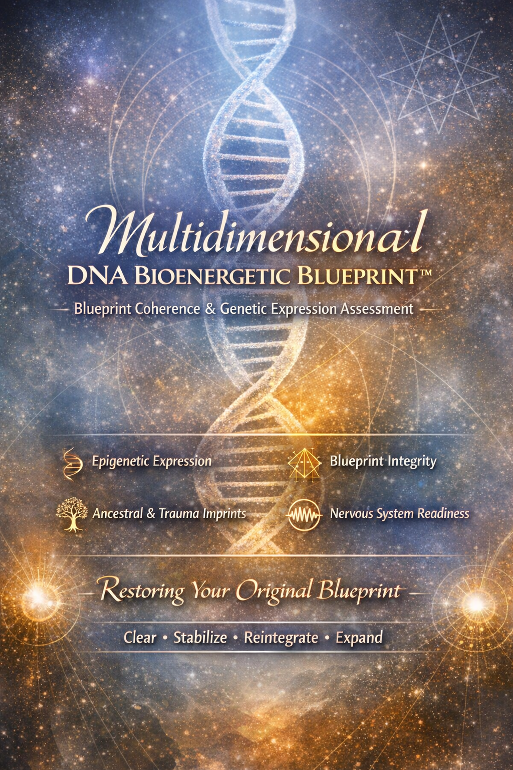 Multidimensional DNA Bioenergetic Blueprint