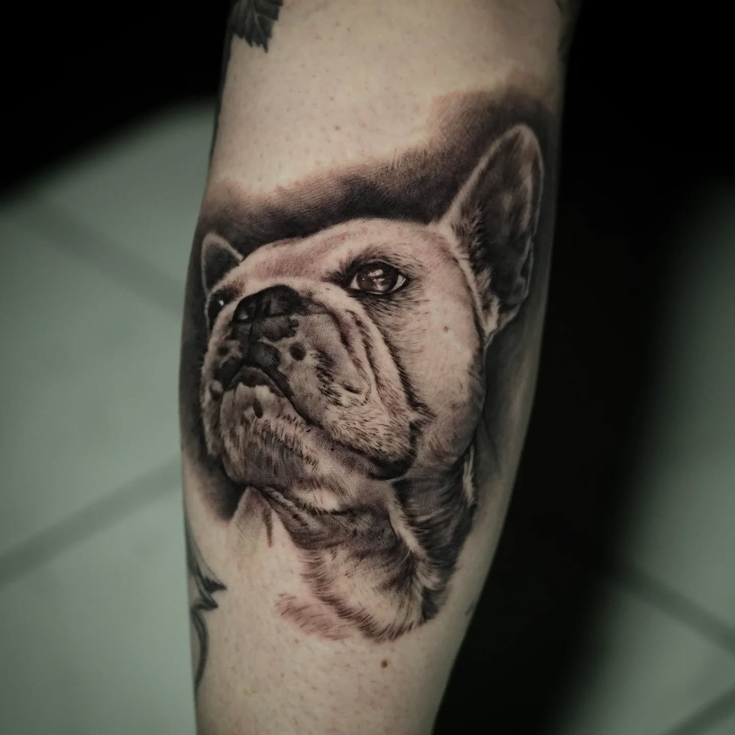 Bring me all of your pet portraits PLEASE. I'm a huge dog lover. As a matter of fact, I enjoy them more than I enjoy people😂 

Let me know if you have any pets you want to keep with you forever. Id like to help you create that memory