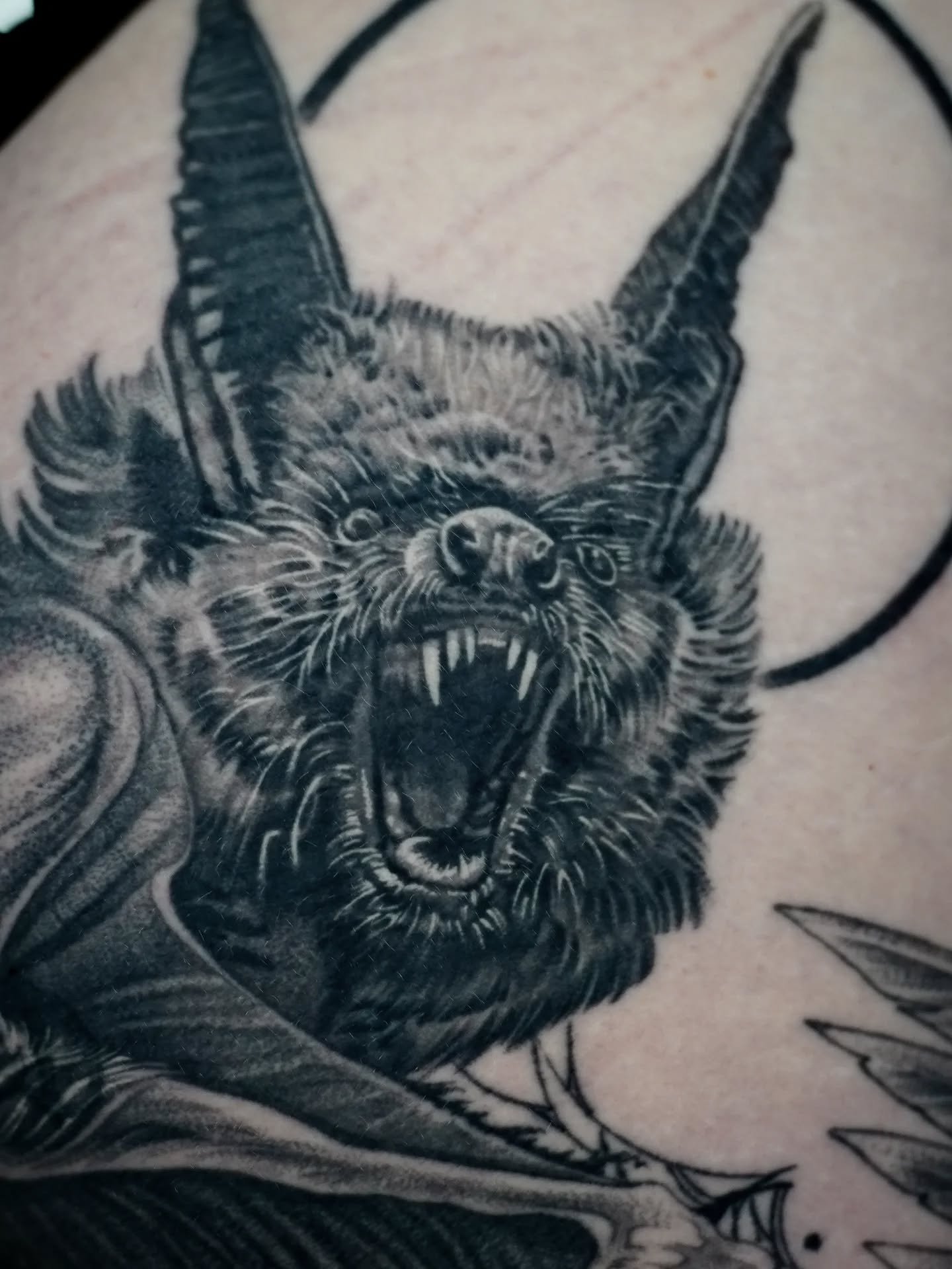 Close up of a HEALED bat! I love tattooing fur and faces. It's always fun watching them come to life. 

I love my job🙏

Always accepting new projects. You can find my calendar in my Instagram Bio. Just click the &quot;Book Now&quot; button