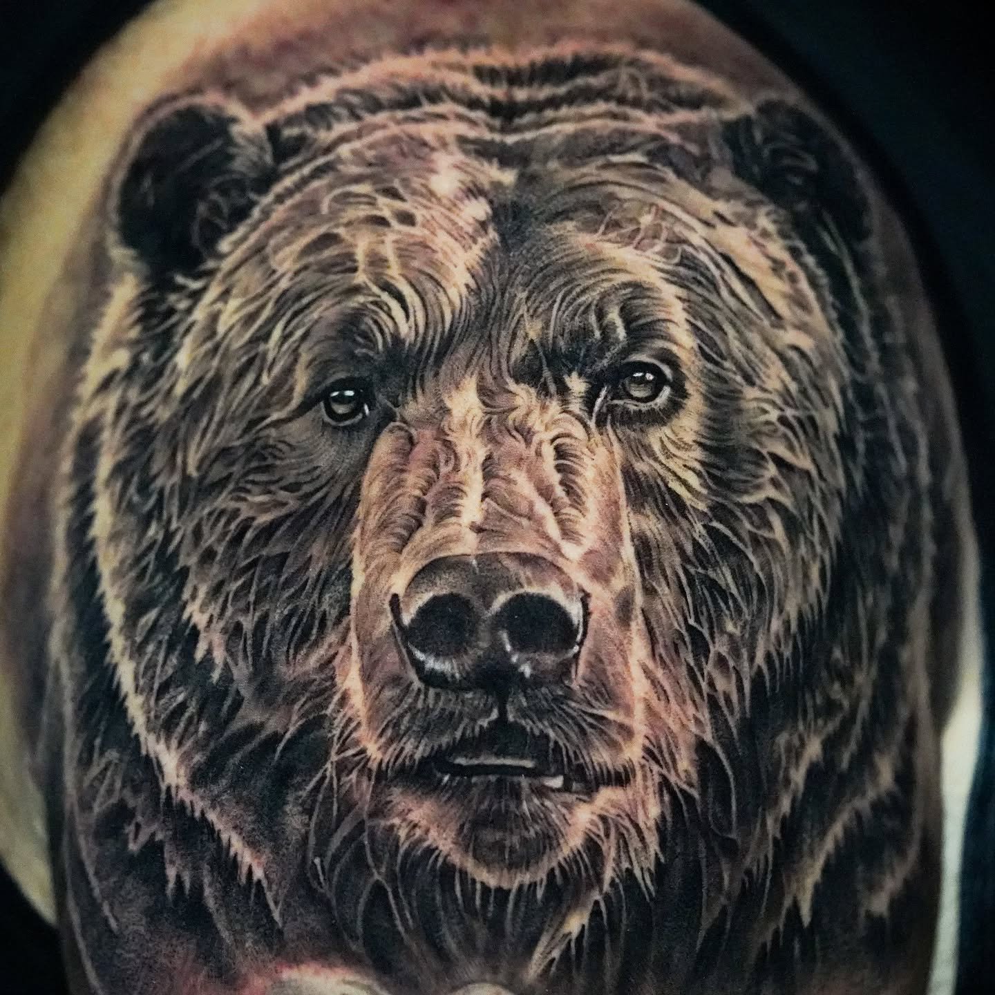 &quot;Can I pet that doggggg??&quot;

10 hour session for Doug today for our bear 🙏 

If you can sit like a champ and want to knock out something like this in one day, take a peak at my recently added 10 hour option. I am having a blast finishing th