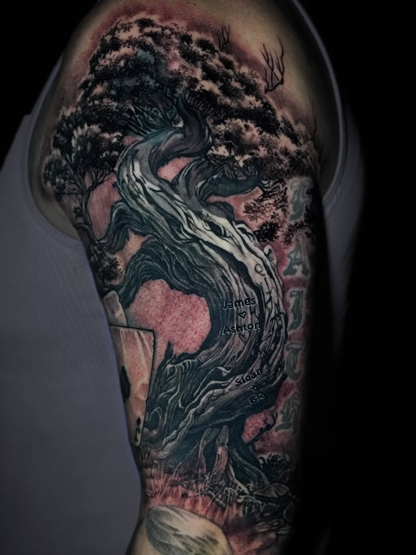 January is NOW OPEN for scheduling! You can find my calendar link in my profile. Just click the "Book Now" to see my available schedule. Taking on all new and old projects. 

This tree was completed over 2 5 hour sessions and works around s