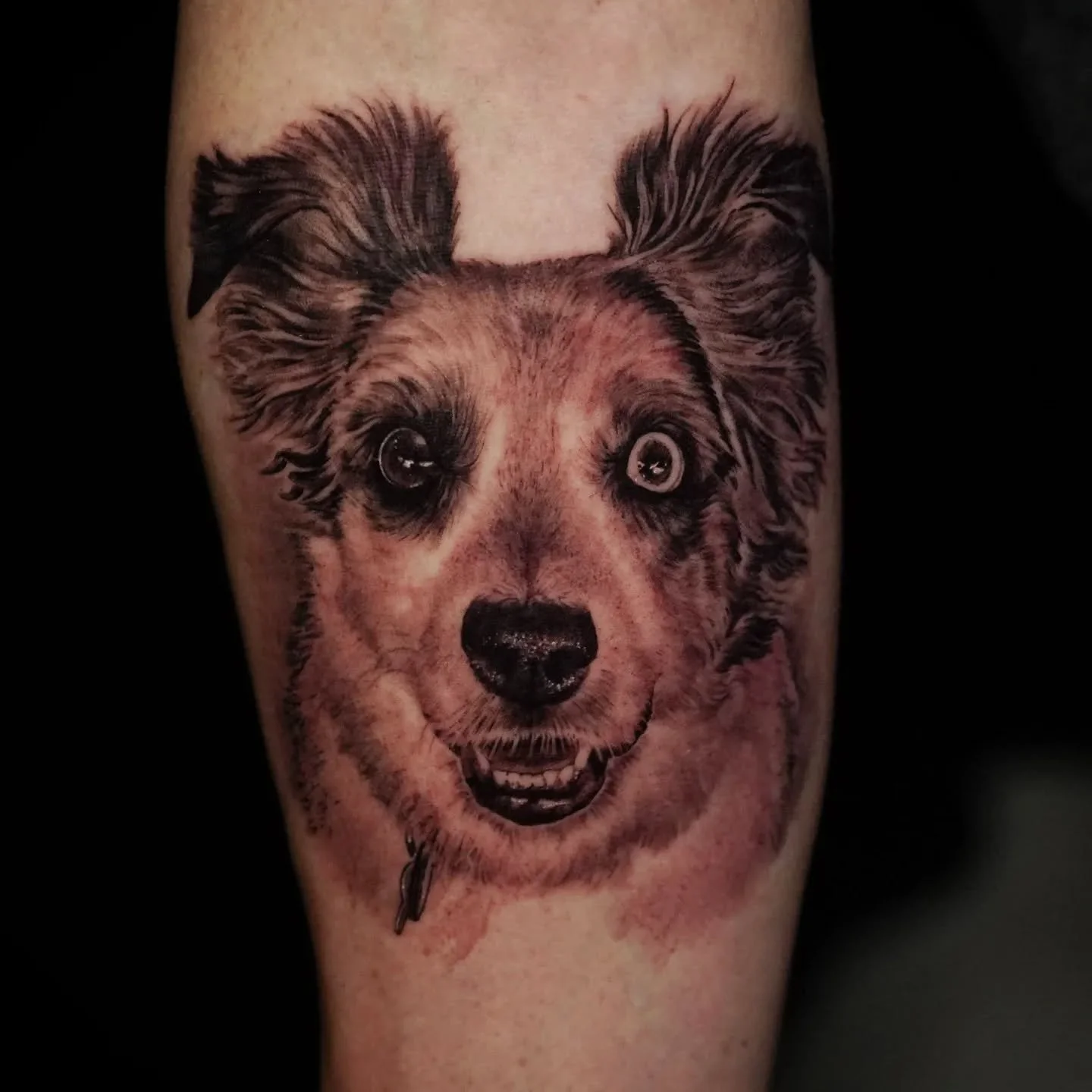 My calendar for May is now available for scheduling!

Here's a memorial tattoo for Buckeye, the bestest boy🙏 losing our furry little friends will never get easier, but being able to carry them with you for the rest of your life is definitely a great