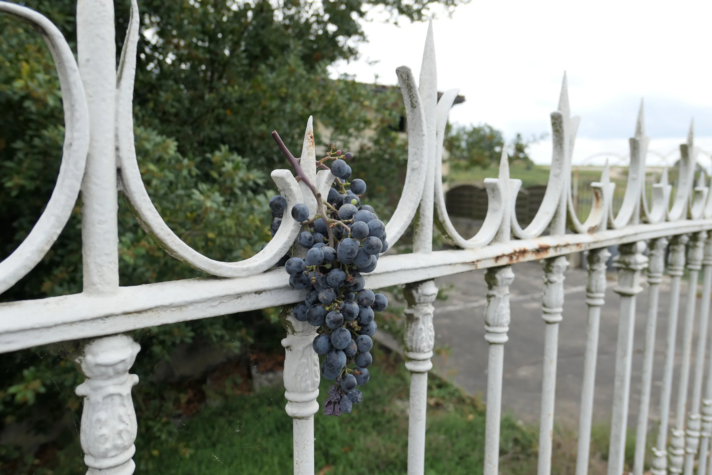 Wine Travel — The KnowWines Blog — KnowWines