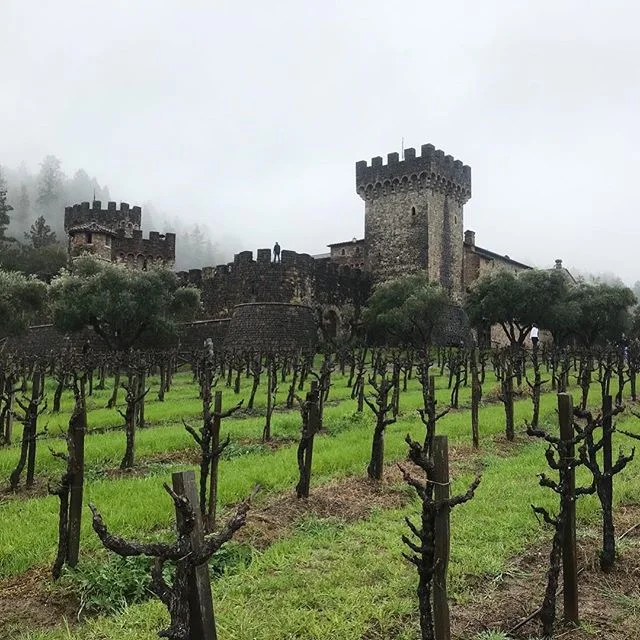 Looking for a little amusement park in your wine tour experience? Visit Castello di Amorosa, "The Castle of Love" in Napa Valley! After ten years of traveling in Napa, we visited this castle for the first time earlier this year and we've just reviewed it in our wine travel blog. Check out what we have to say about this faux-European castle right in the middle of Napa's oldest vineyards! Link in our bio to read the review!
#knowwines #wine #winelover #winelovers #instawine #winestagram #winetime #wineoclock #foodandwine #winery #winejob #winetasting #wineclass #winepairing #winecollector #wineries #wineblogger #wineblog #winestudies #bestwine #winelife #vino #drinkmorewine #napavalley #castles #castellodiamorosa