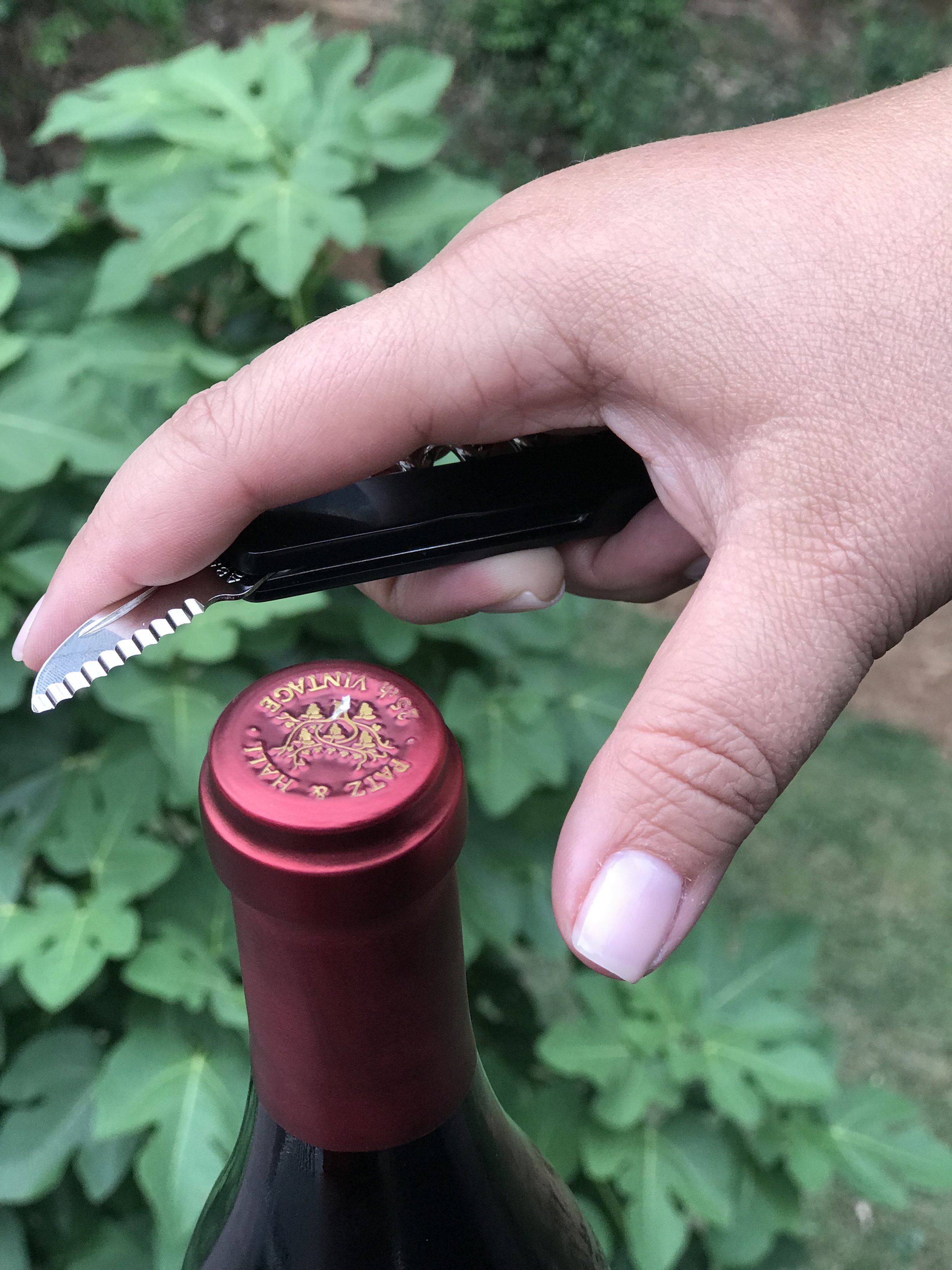 The 6 Best Corkscrews and Wine Openers for 2022 — KnowWines