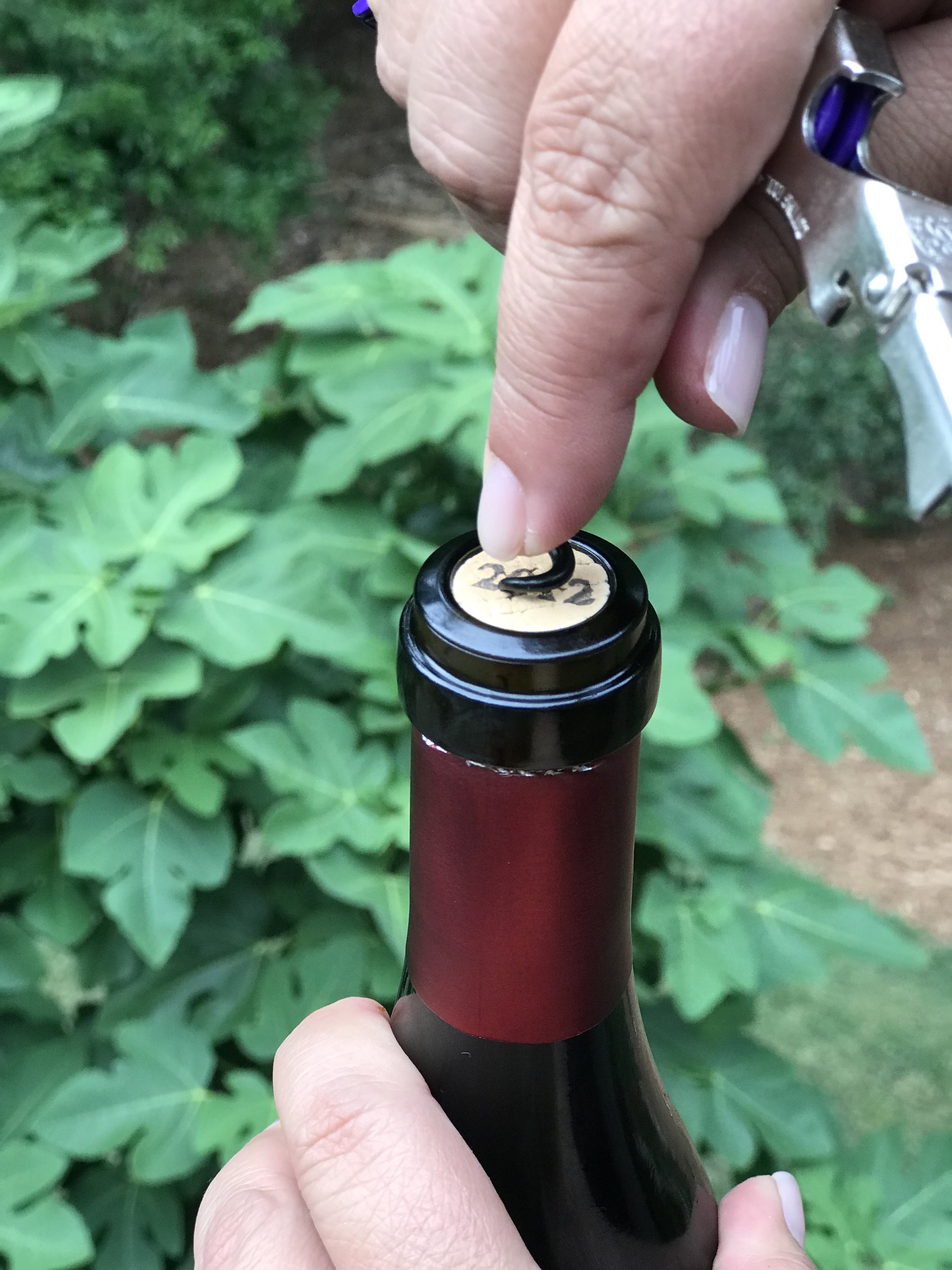 bottle opener & fridge magnet Tina-William Wine cellar personalized corkscrew 
