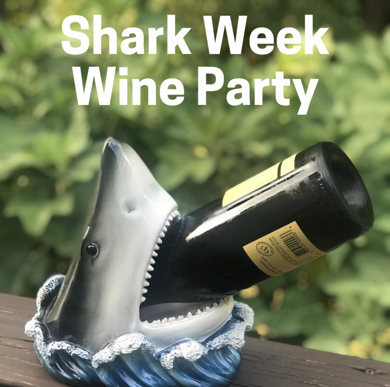 Shark Week Party 2019.jpeg