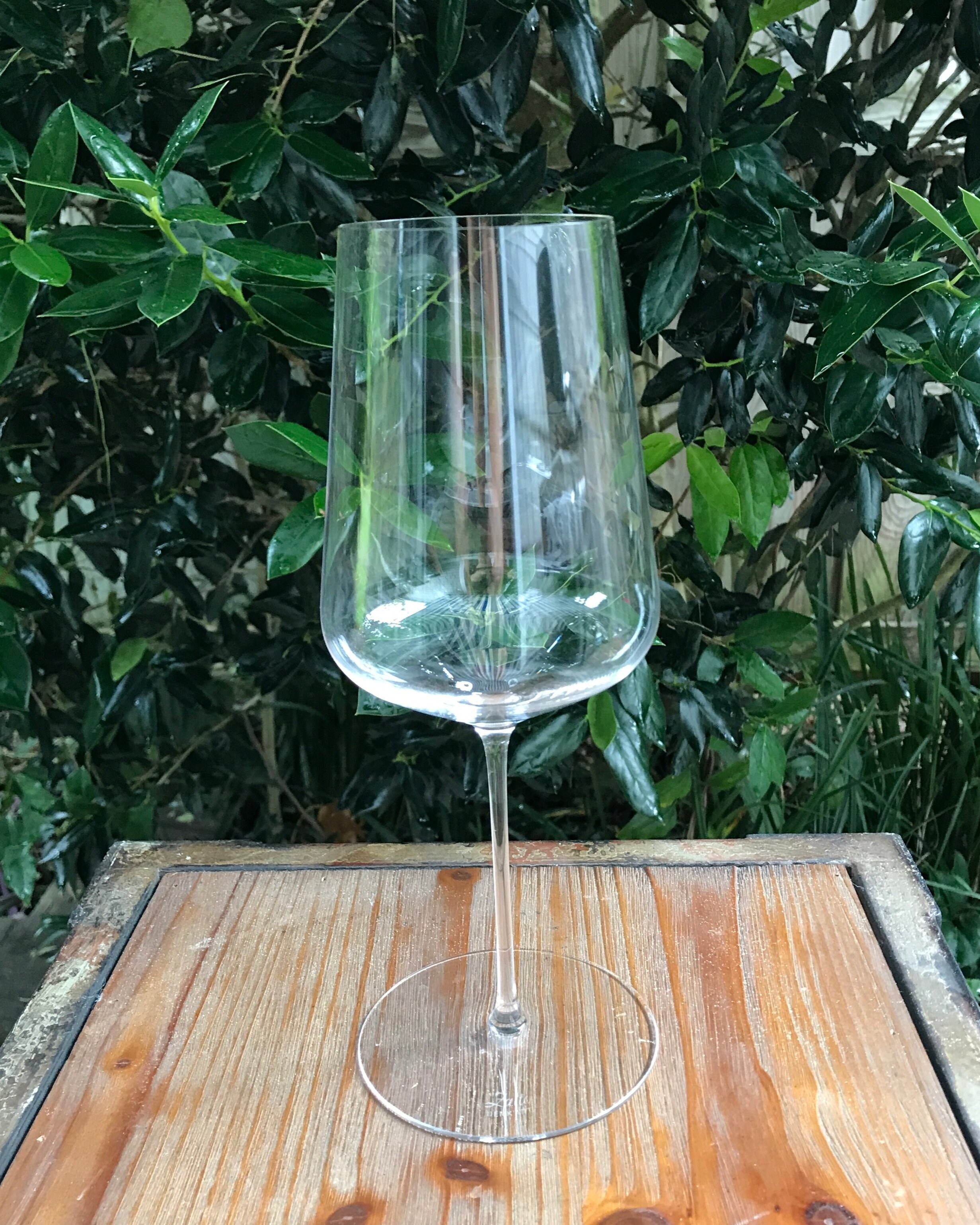 The Best Unbreakable Wine Glasses 2021