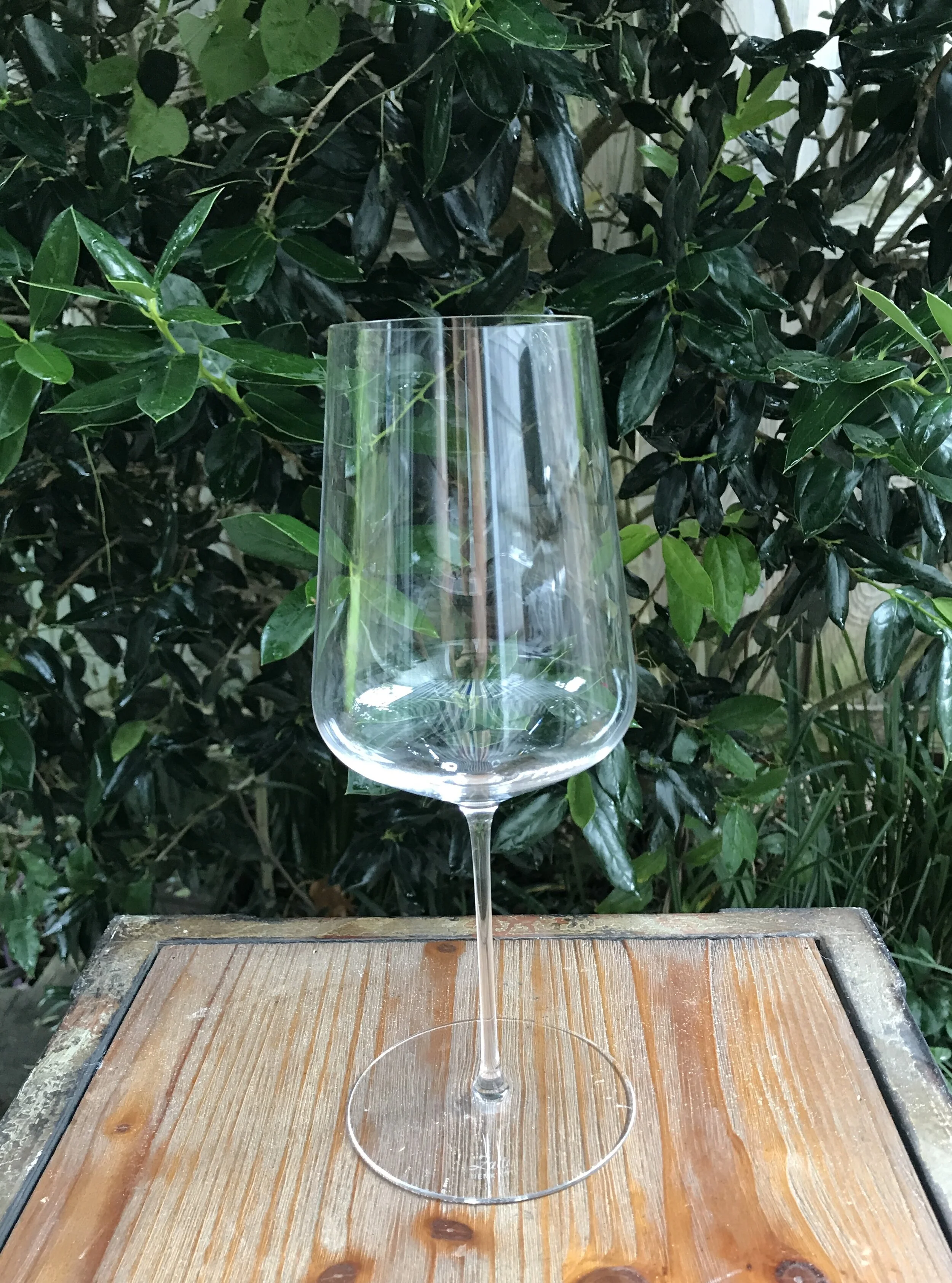 Are Zalto Wine Glasses Worth It?