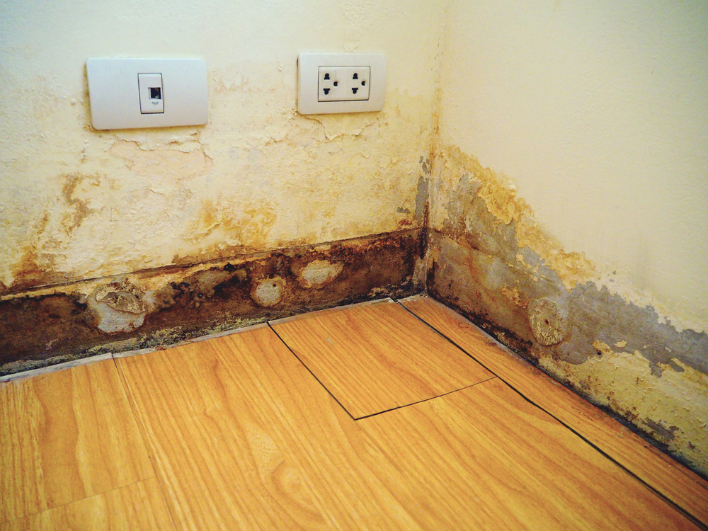 Damaged Wall.jpg