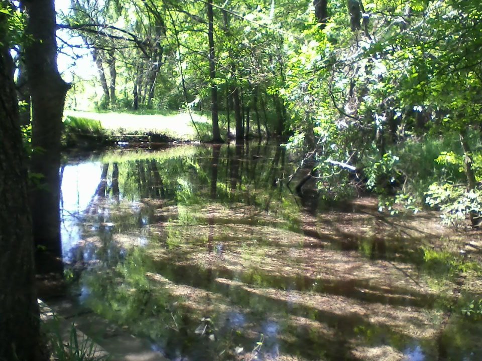 Texas House Creek.jpg