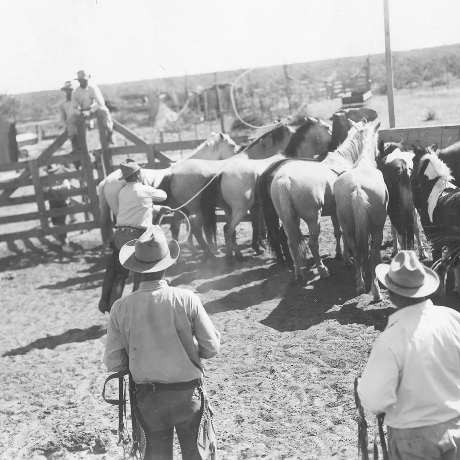 parksbellranch_contactpage.jpg