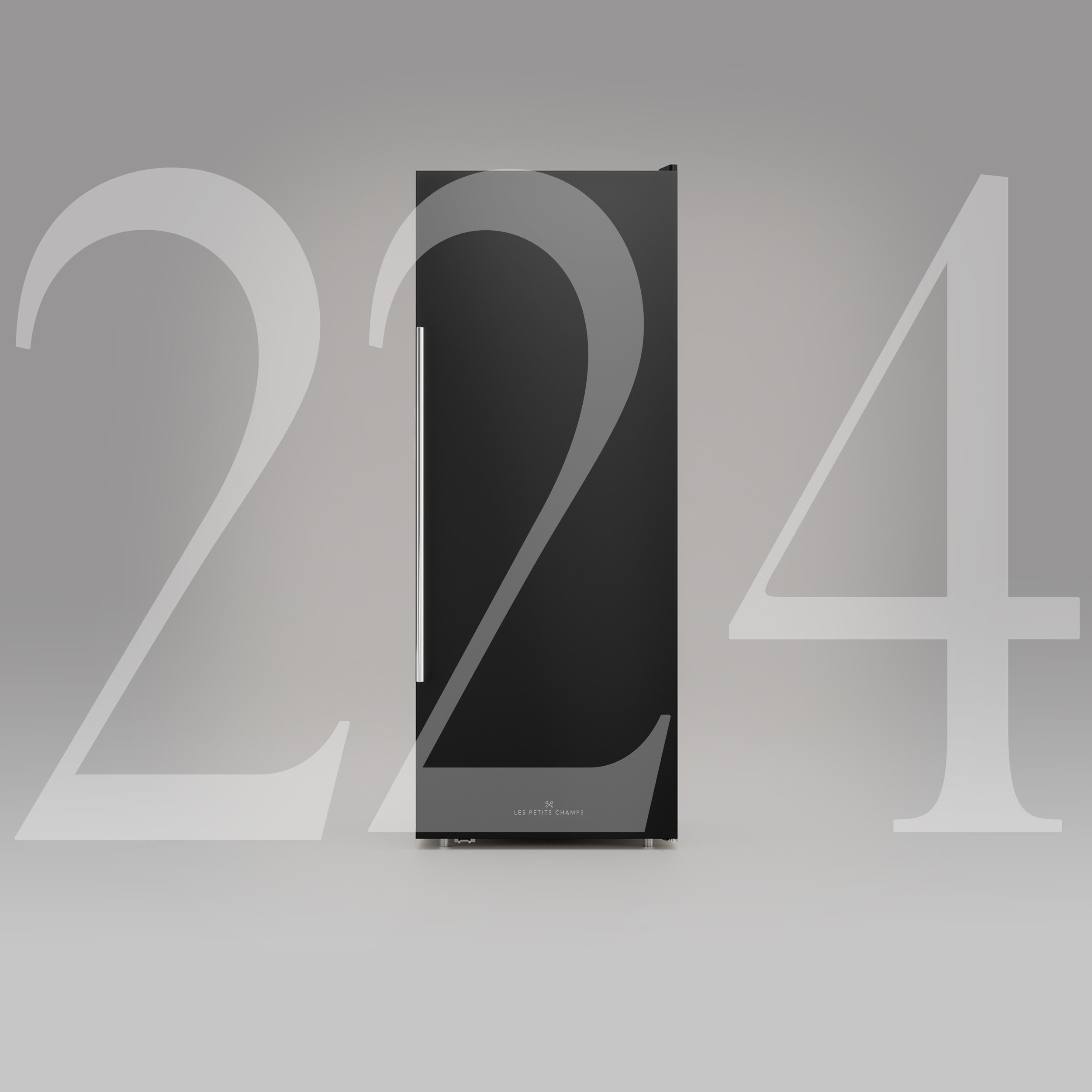 CAVV224