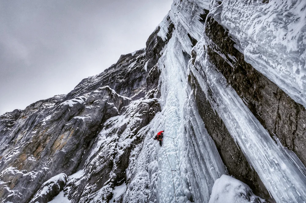 Heike Schmitt on Nemesis - picture Matthias Scherer 