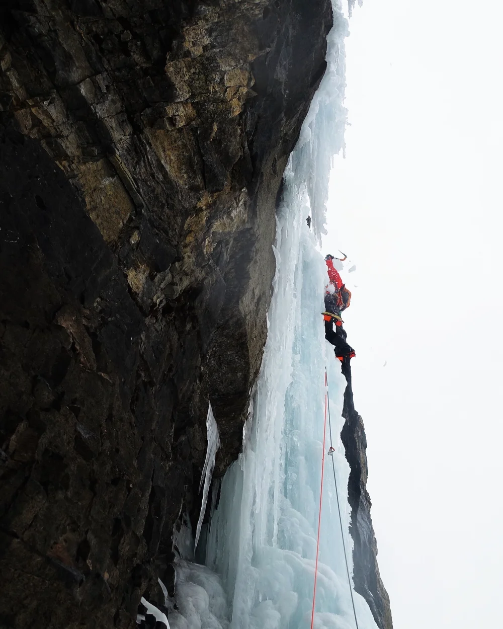 Matthias Scherer on Nemesis, picture ©Tanja Schmitt
