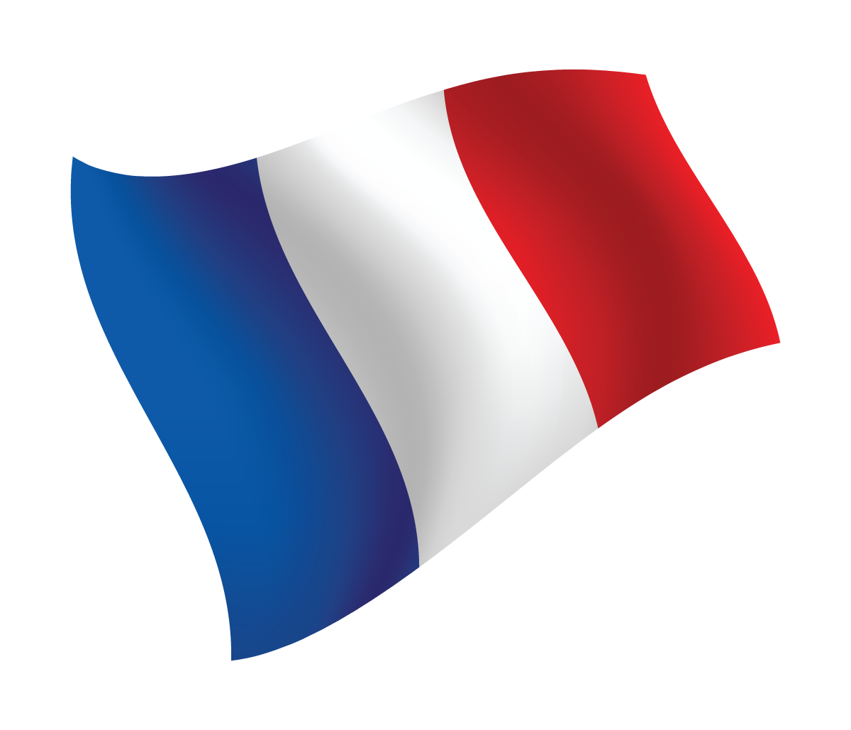 France Church Planting Training Offer scholarships and produce resources to train prospective French church planters.