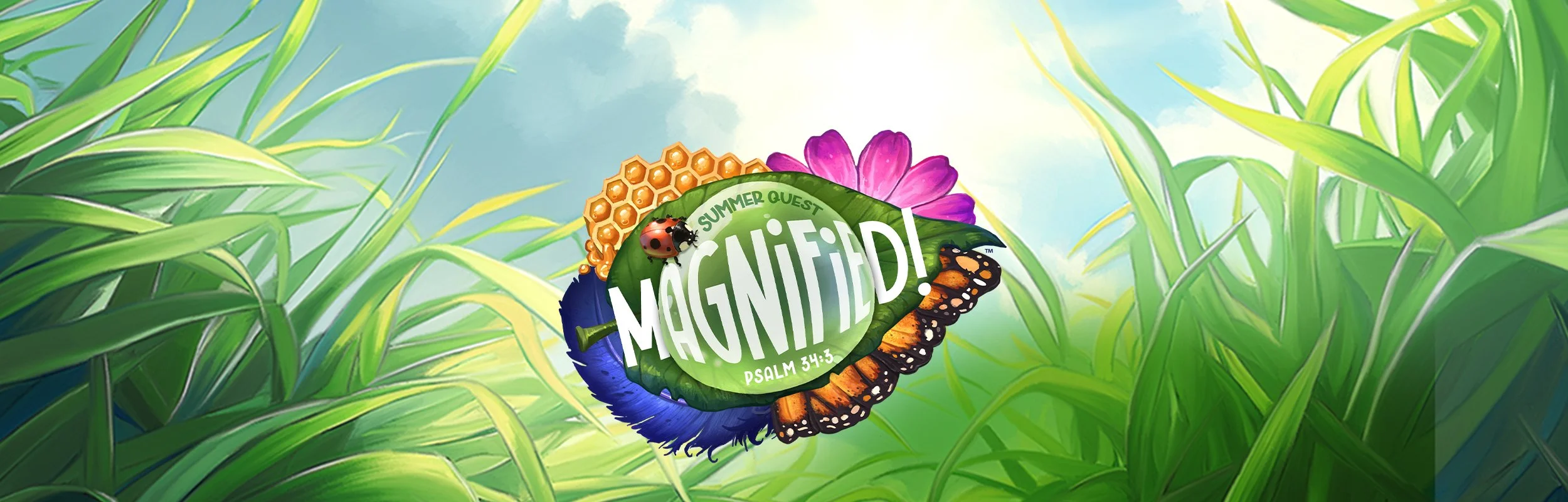 Summer Quest 2025 Magnified Header copy.jpg