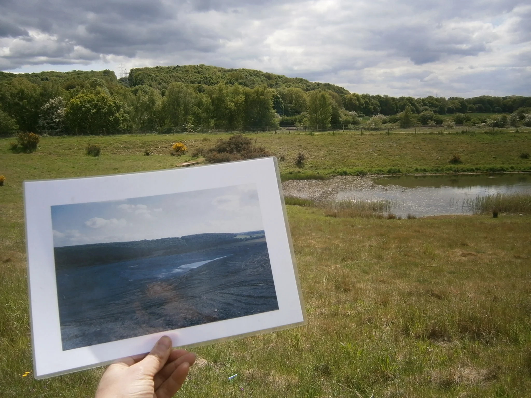 Jerwood Open Forest Research: Sherwood