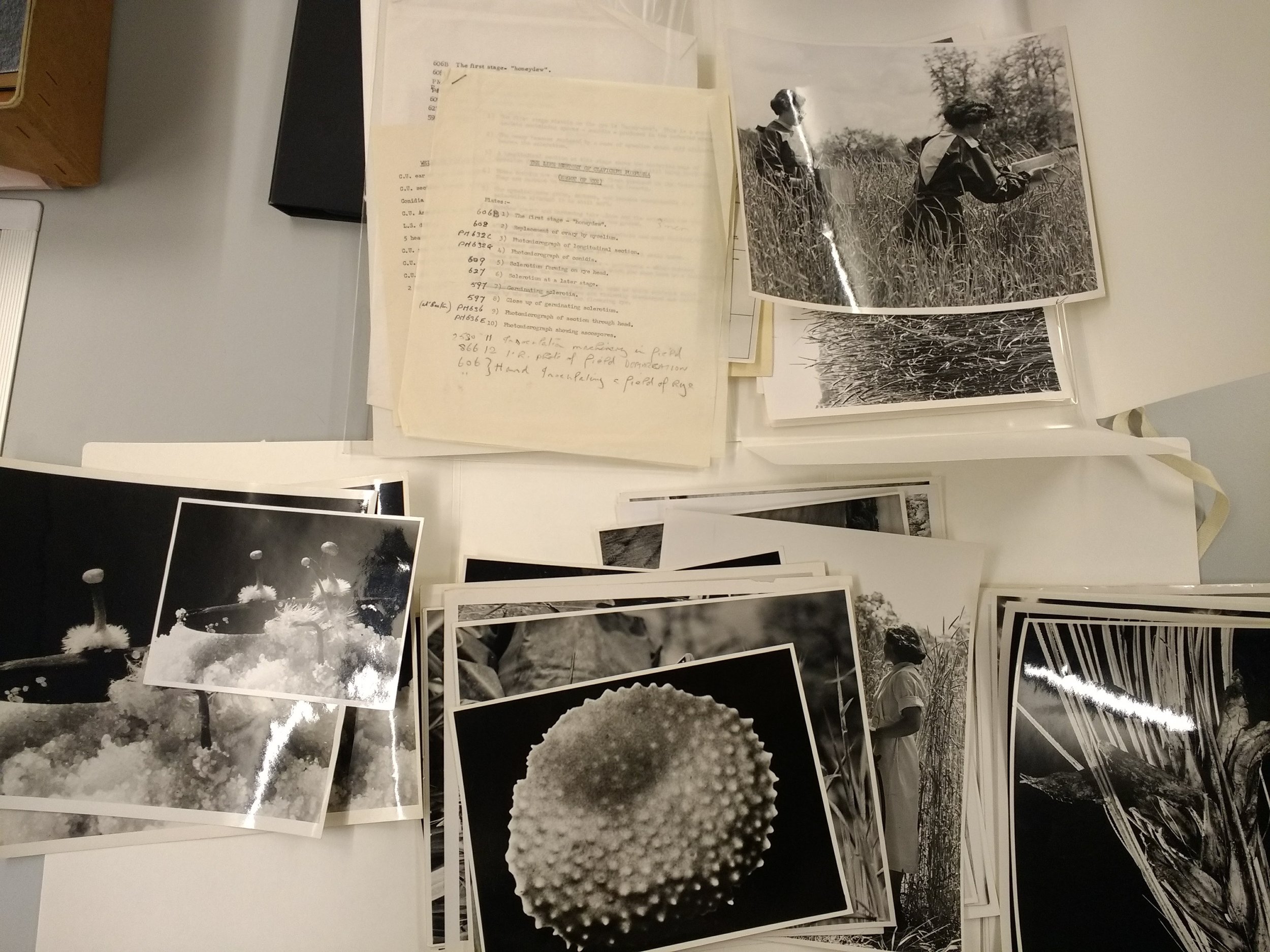 Material in the Wellcome Library