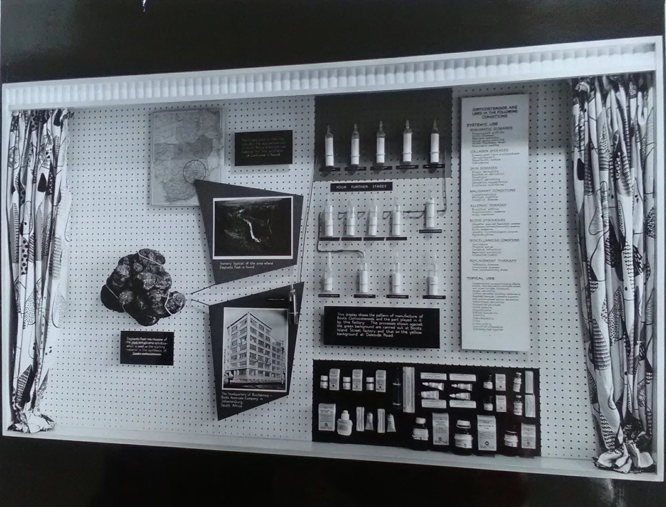 1950s display showing Elephants Foot yam, the Biochemico factory in Johannesburg, and stages of the chemical process to make Boots corticosteroid products. Boots Archive, Nottingham.