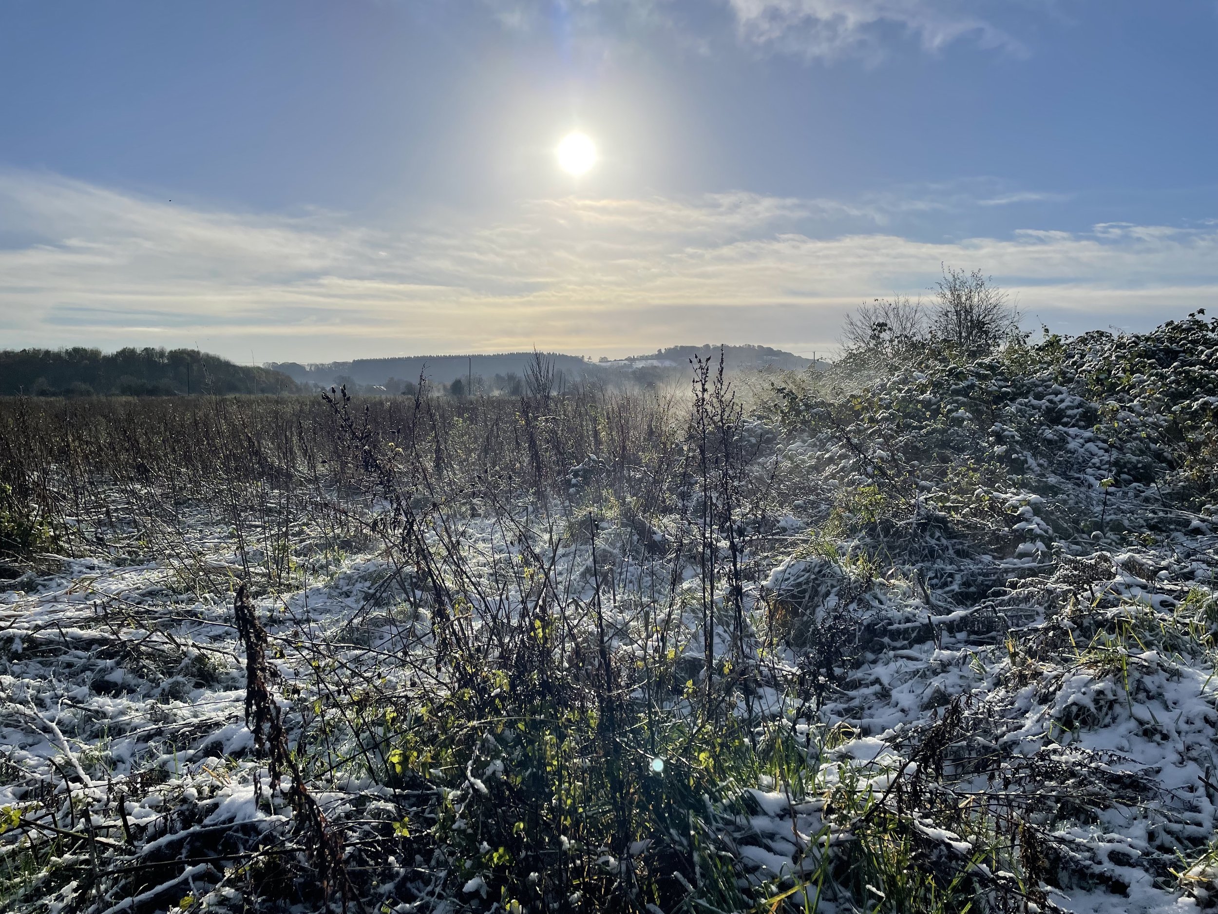 Bartonsham Nov 2024 snow.jpg