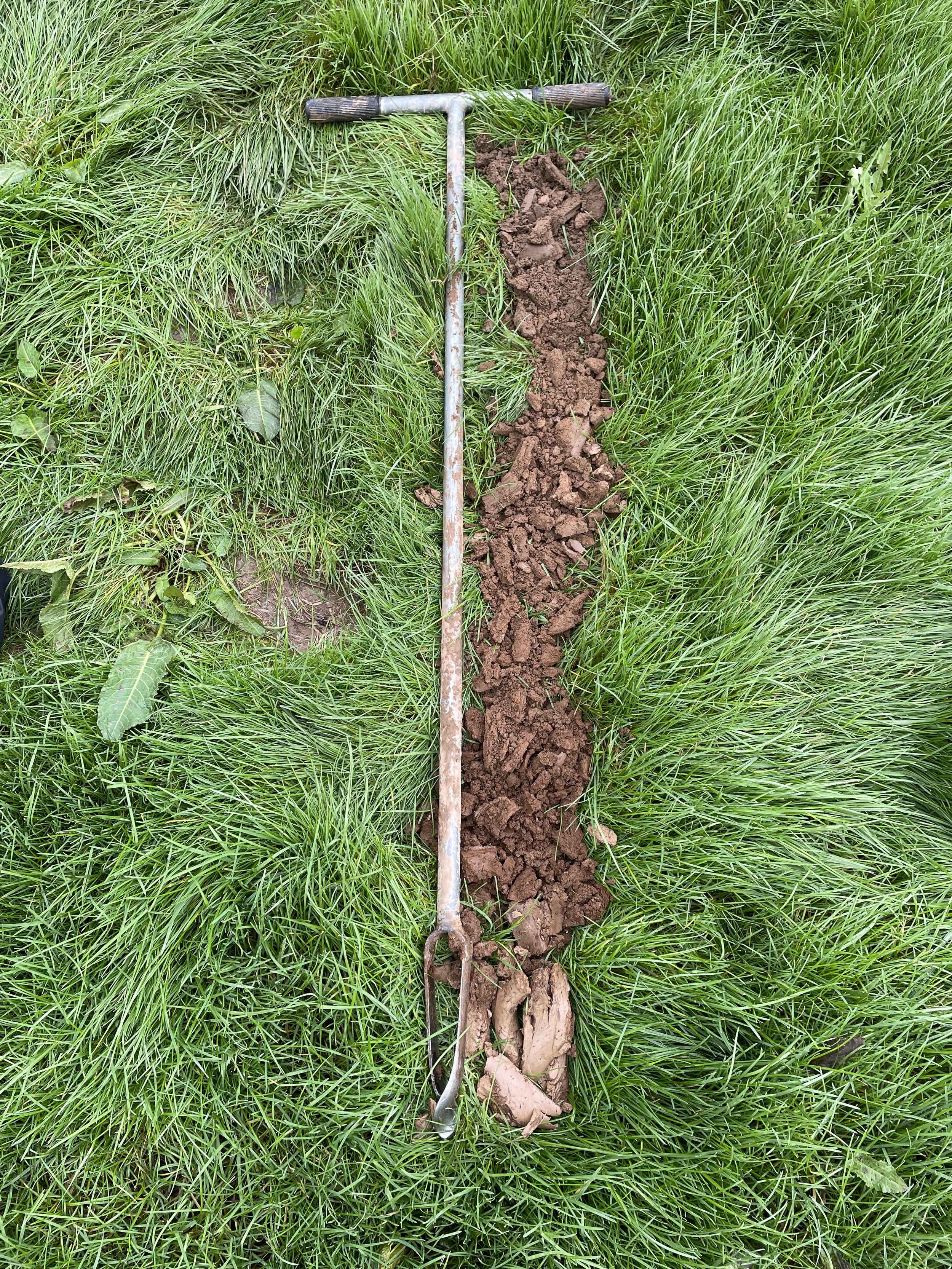 Soil day - soil core.jpg
