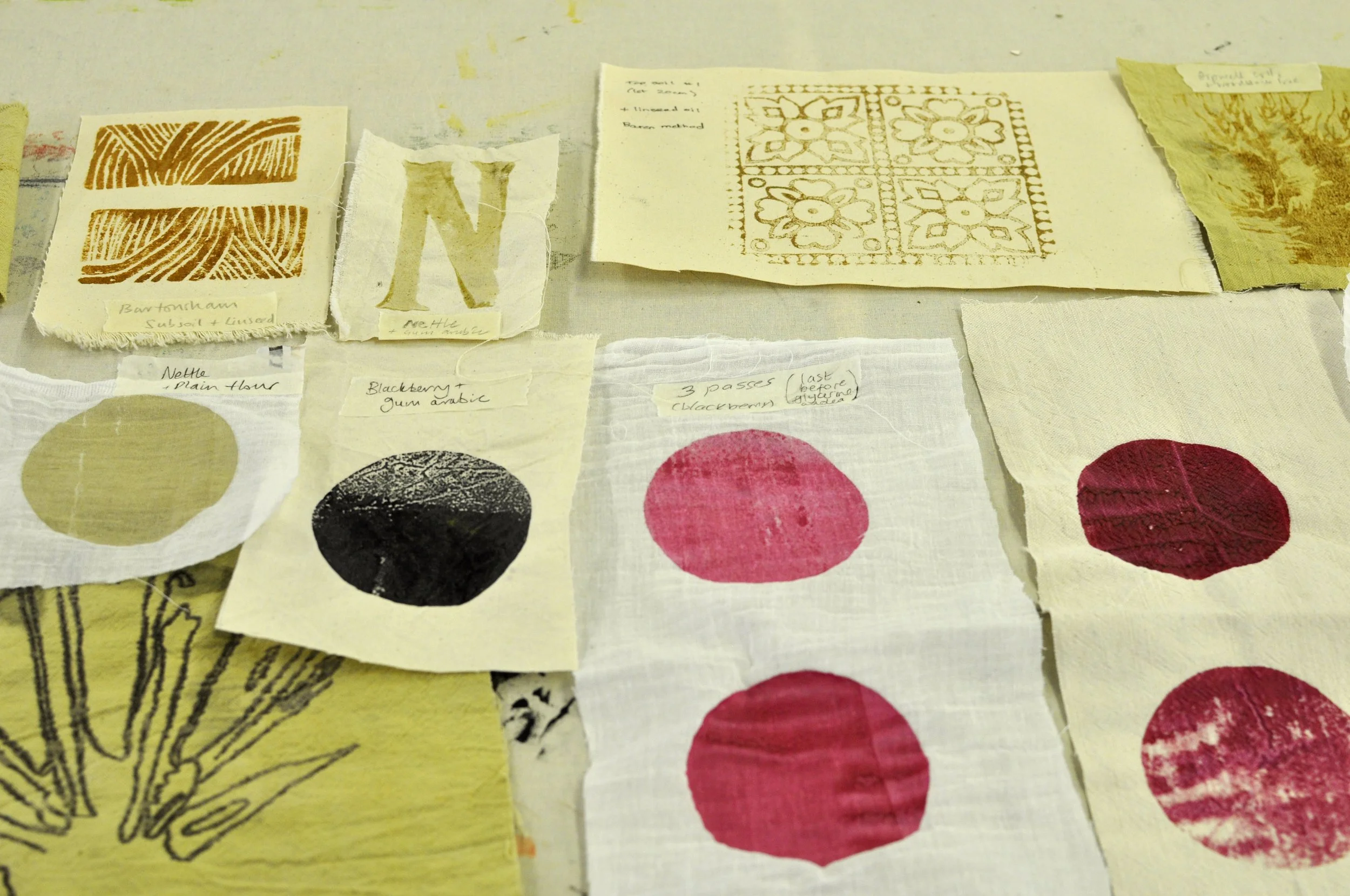 HCA_Mar 2025_R Farkas_DSC0048.JPG