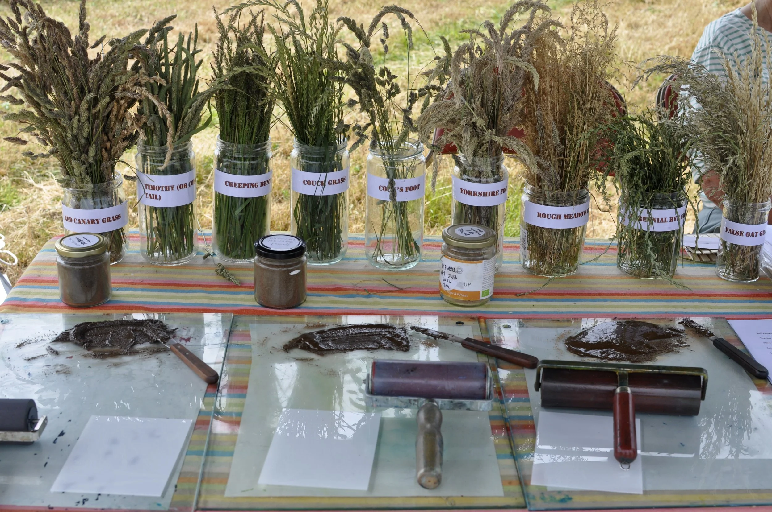 _DSC0222_Bartonsham Solstice June 2025_image Rebecca Farkas.JPG