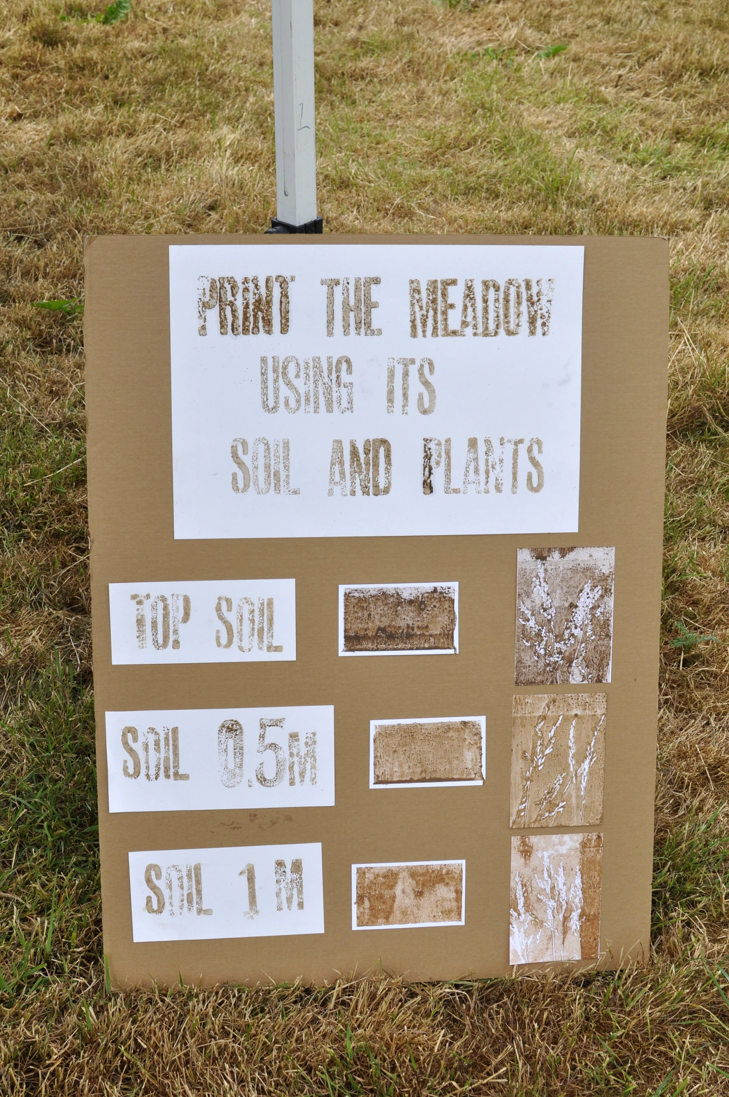 _DSC0232_Bartonsham Solstice June 2025_image Rebecca Farkas.JPG