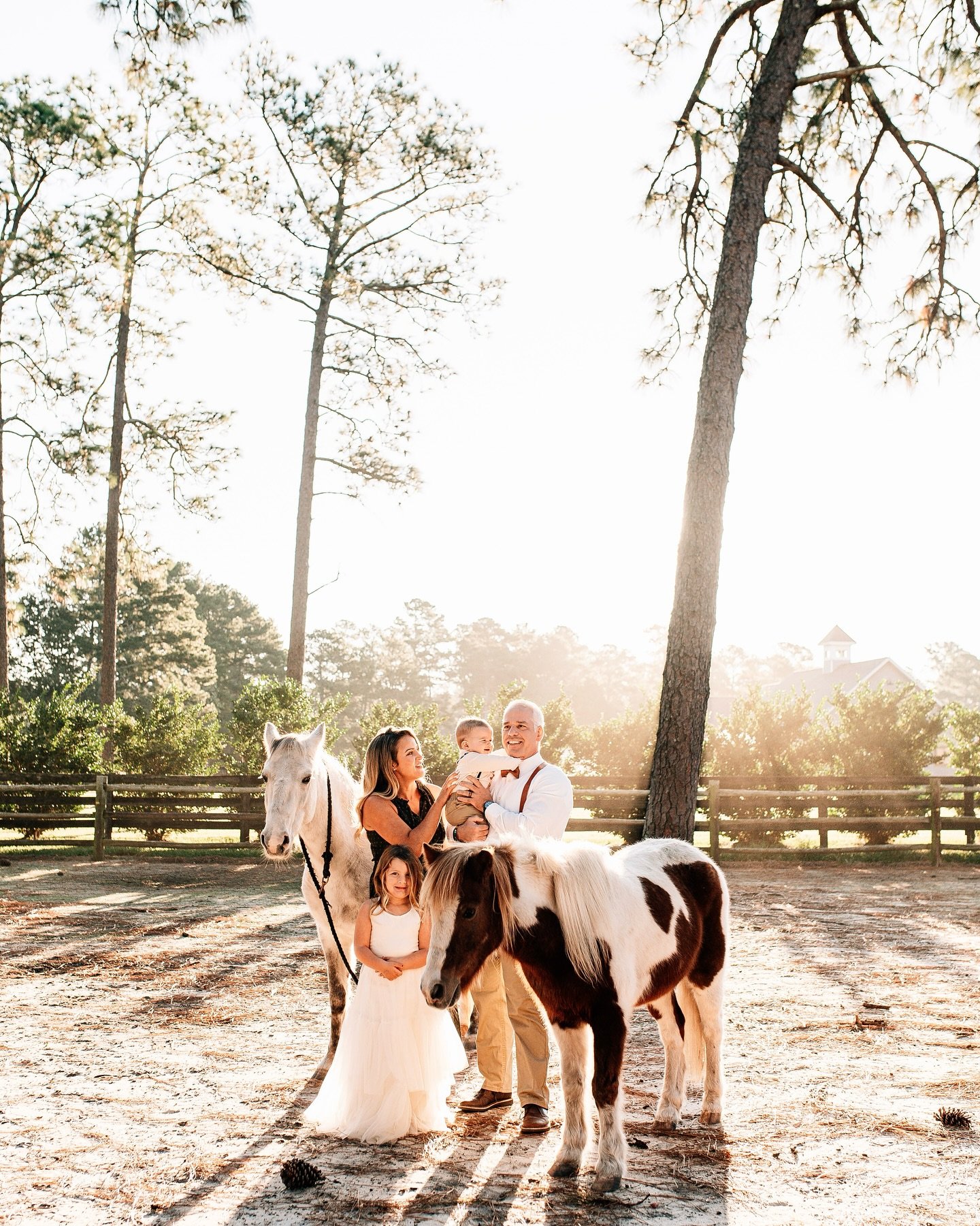A gorgeous morning in the horse country of Southern Pines 🏇🏼 @moorehomeswithmorgan