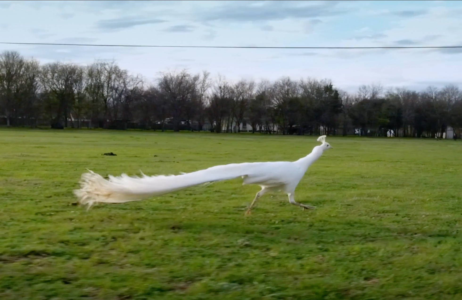 Screenshot 2026-02-02 at 4.13.40 PM.png