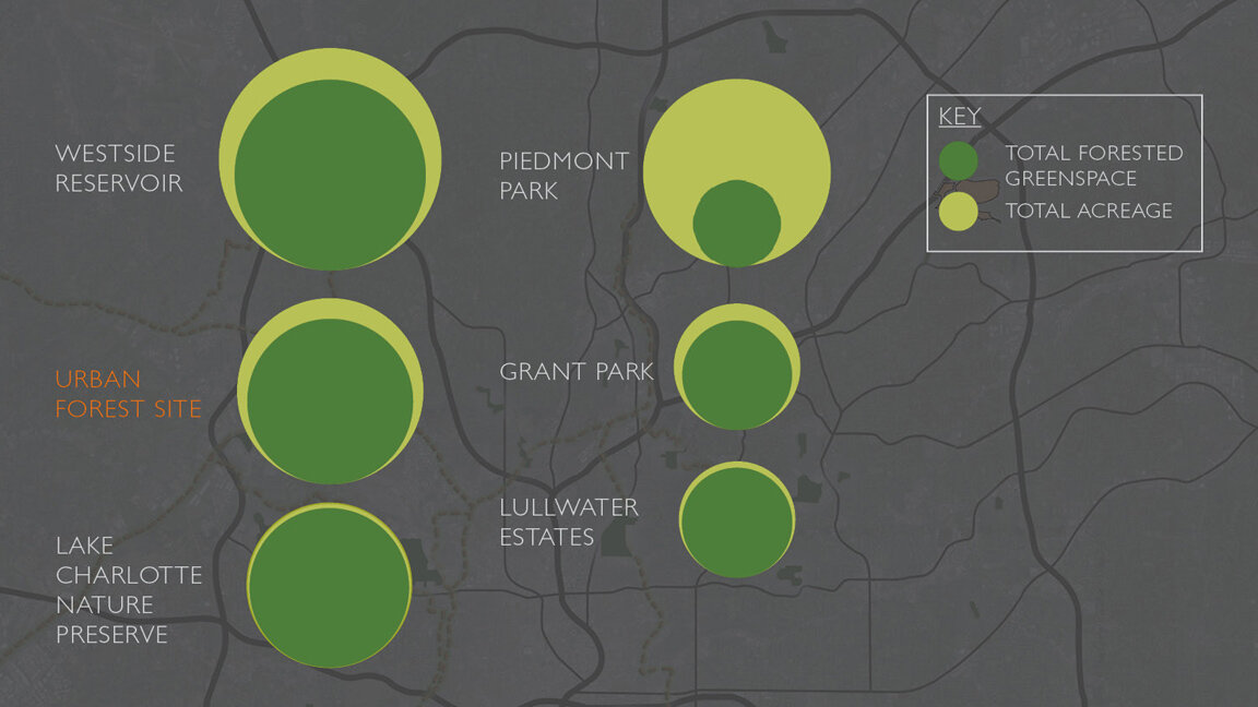 Mercer Urban Forest_ComparisonW.jpg