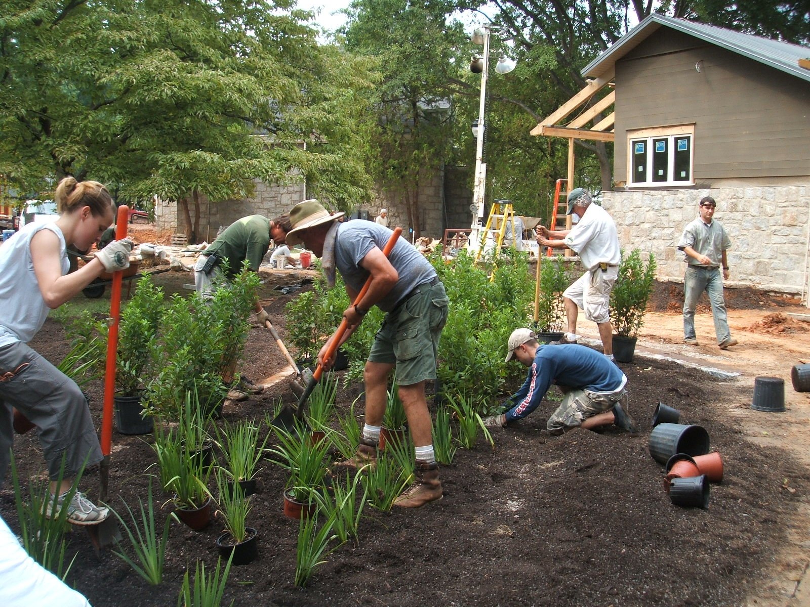 RAINGARDEN-3.JPG