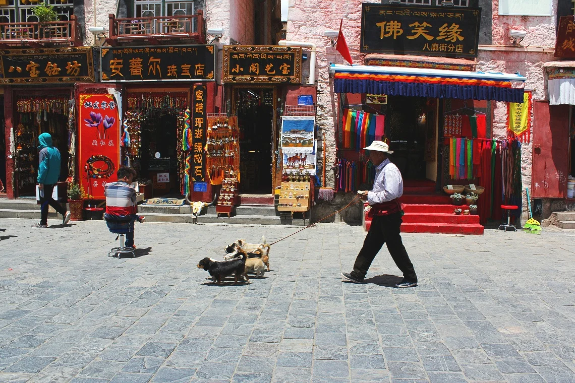 Lhasa_6.jpg