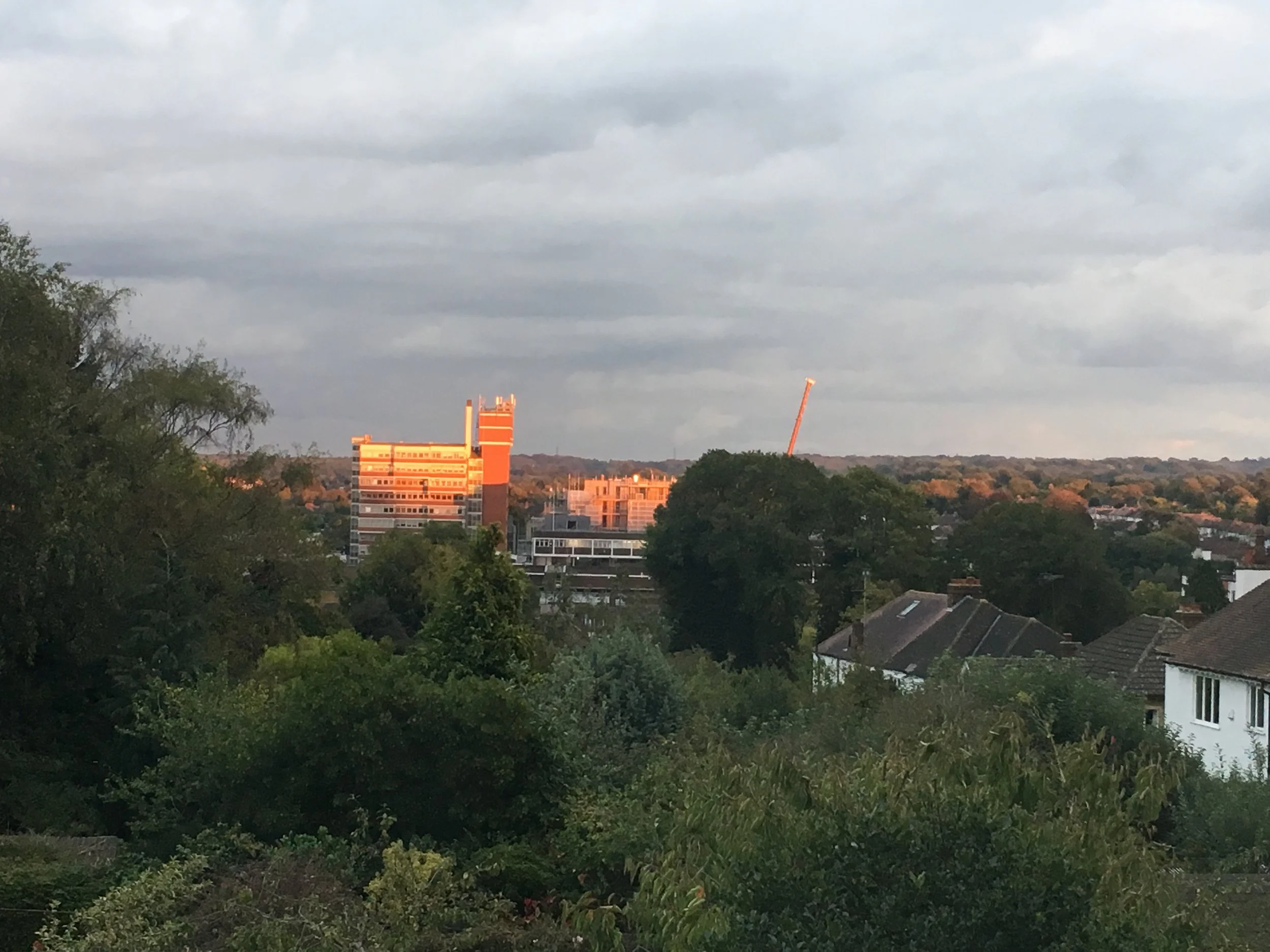 Sunset on Orpington college.jpg