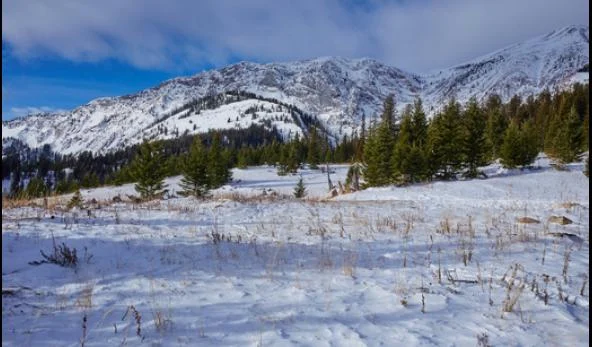 North_Ridge_Ranch-0056.jpg