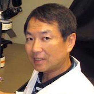 Dr. Atsushi Asakura - Muscle Differentiation Advisor